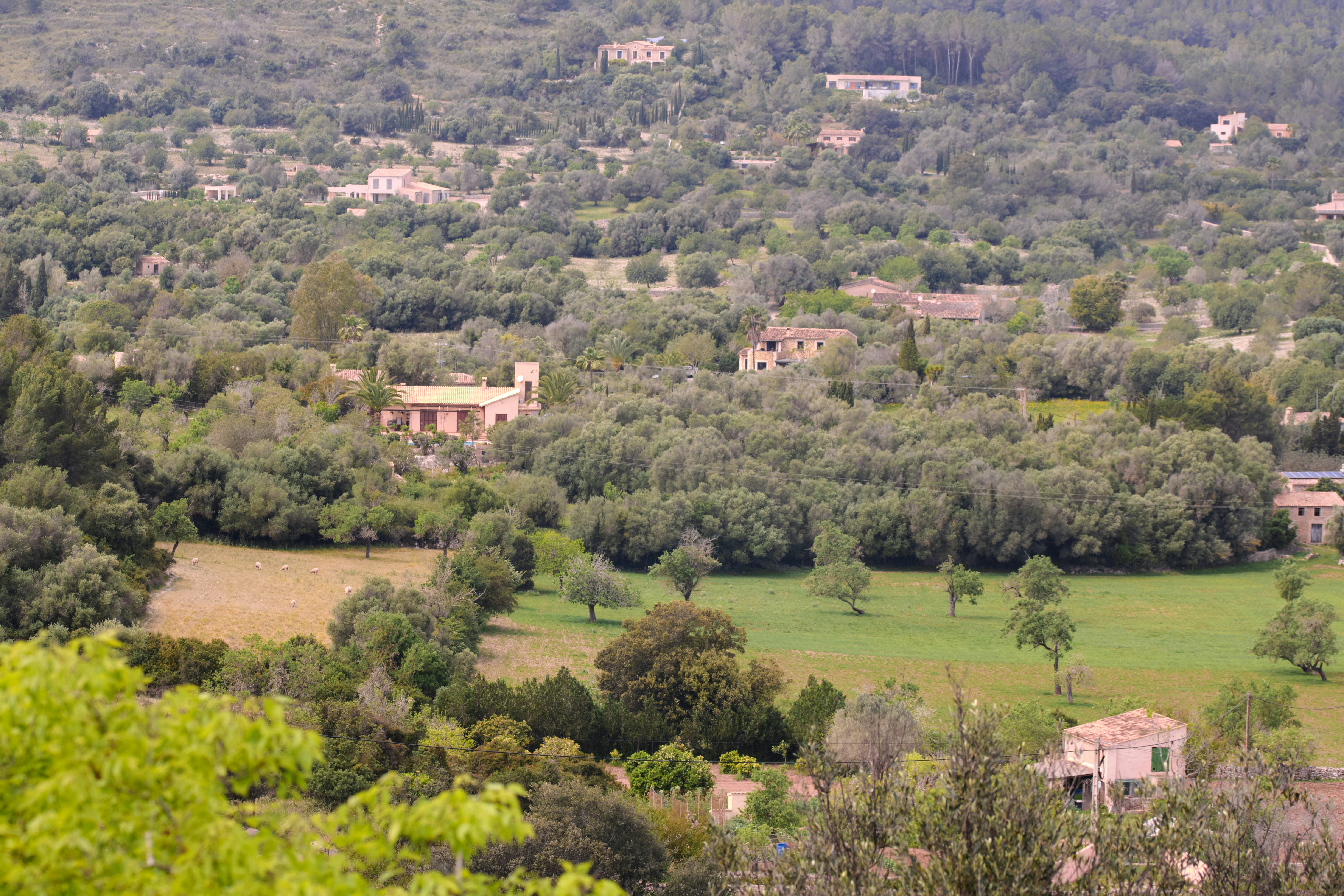 Photo by timschmidbauer