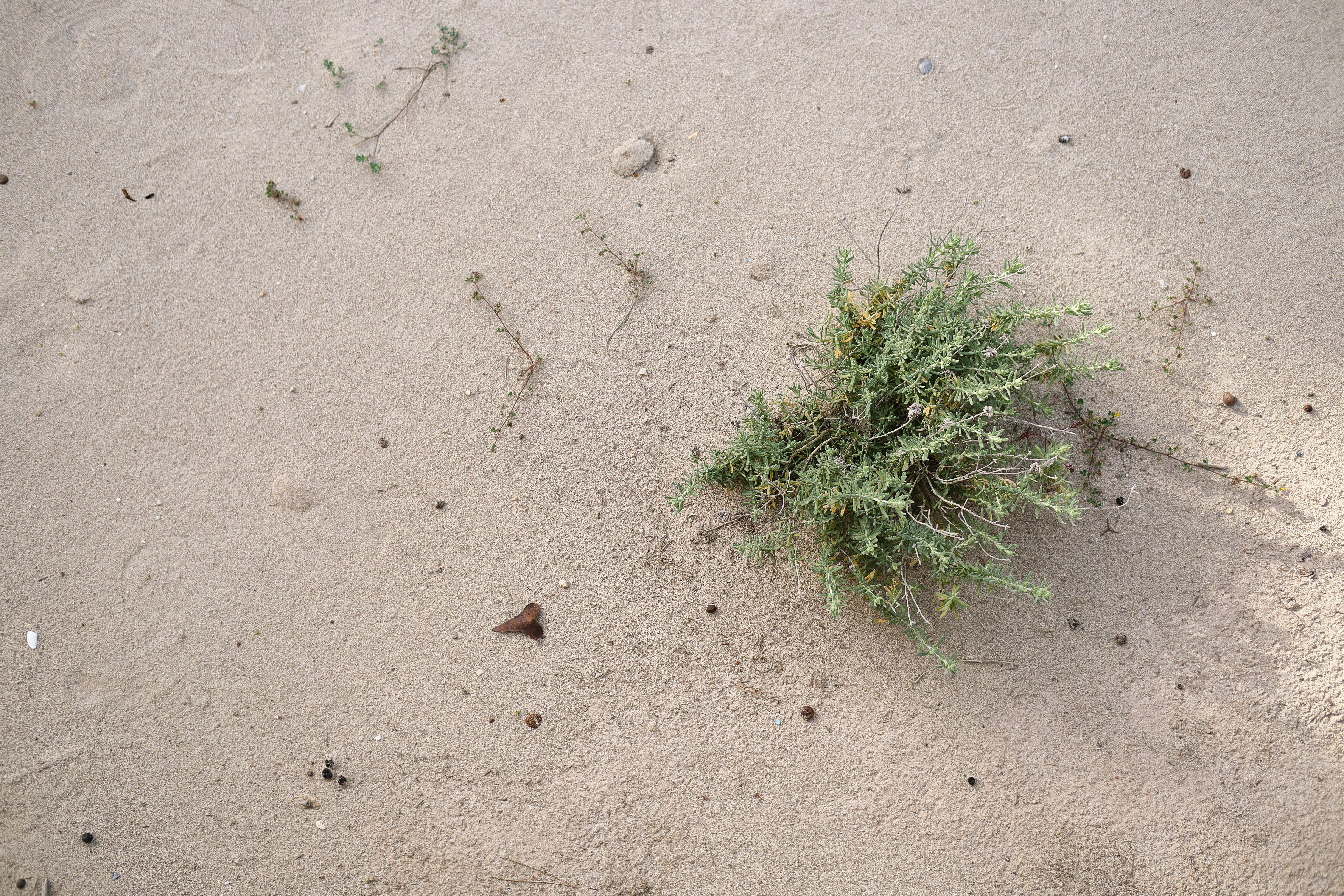 Photo by timschmidbauer