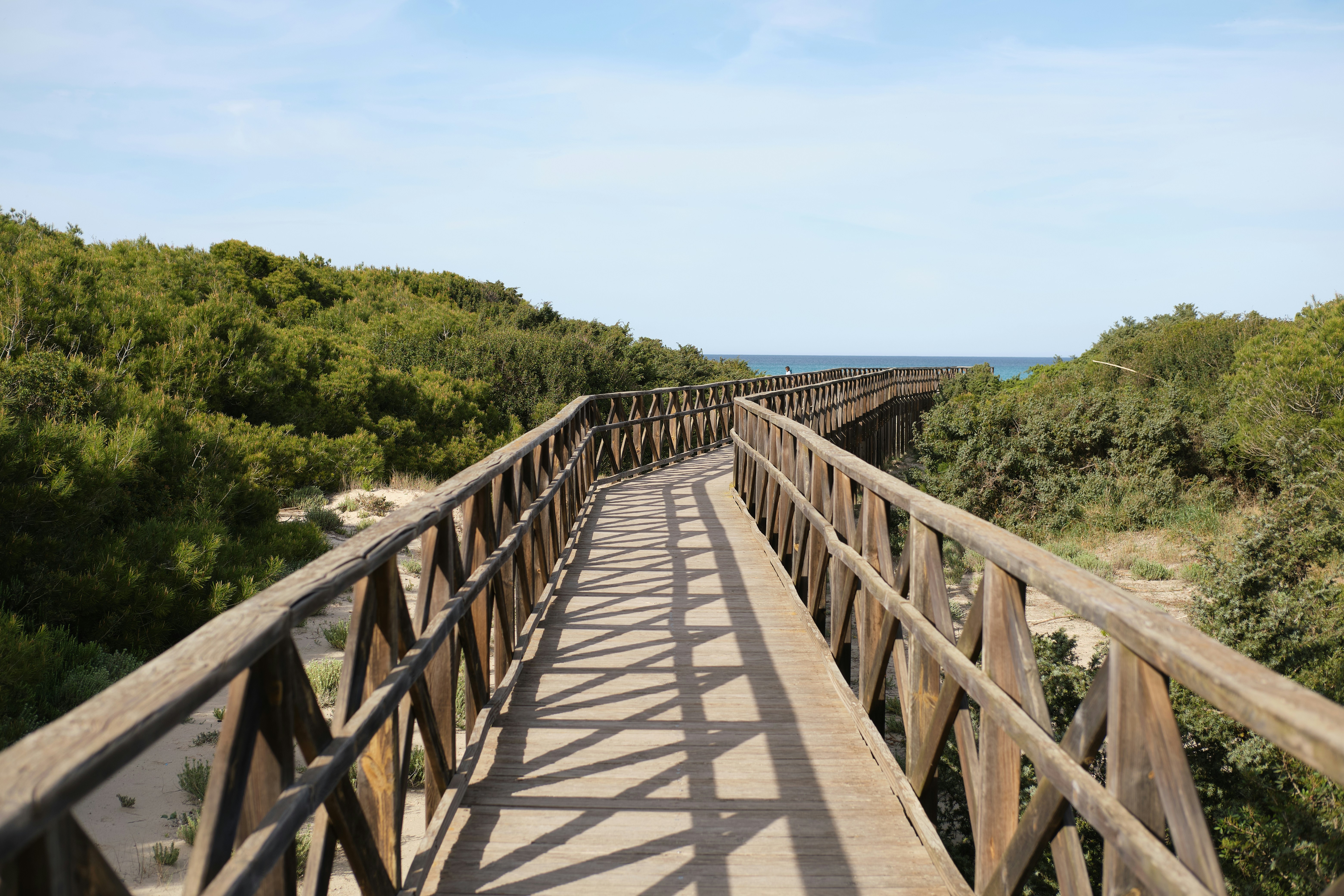 Photo by timschmidbauer