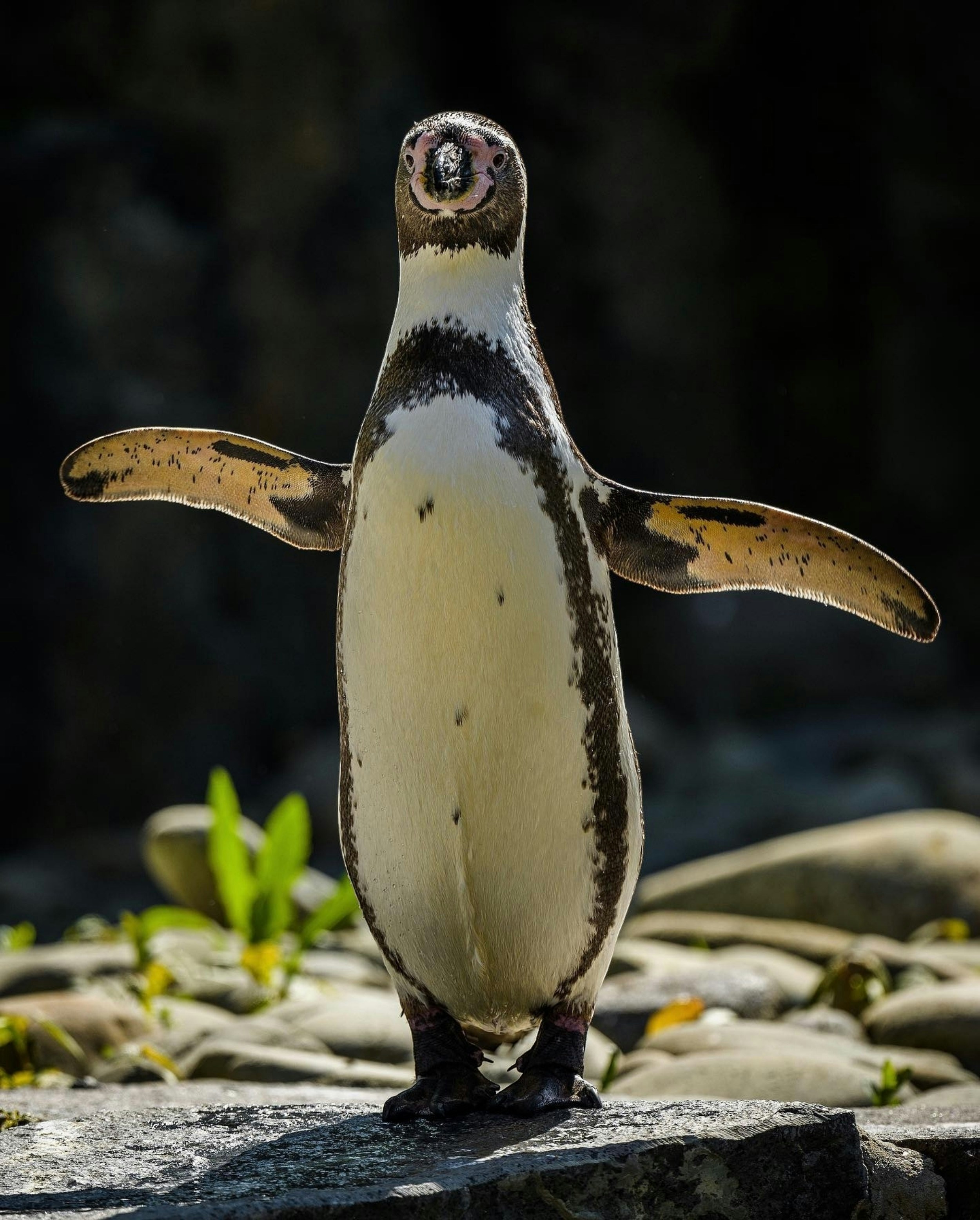 Photo by youssef_photography