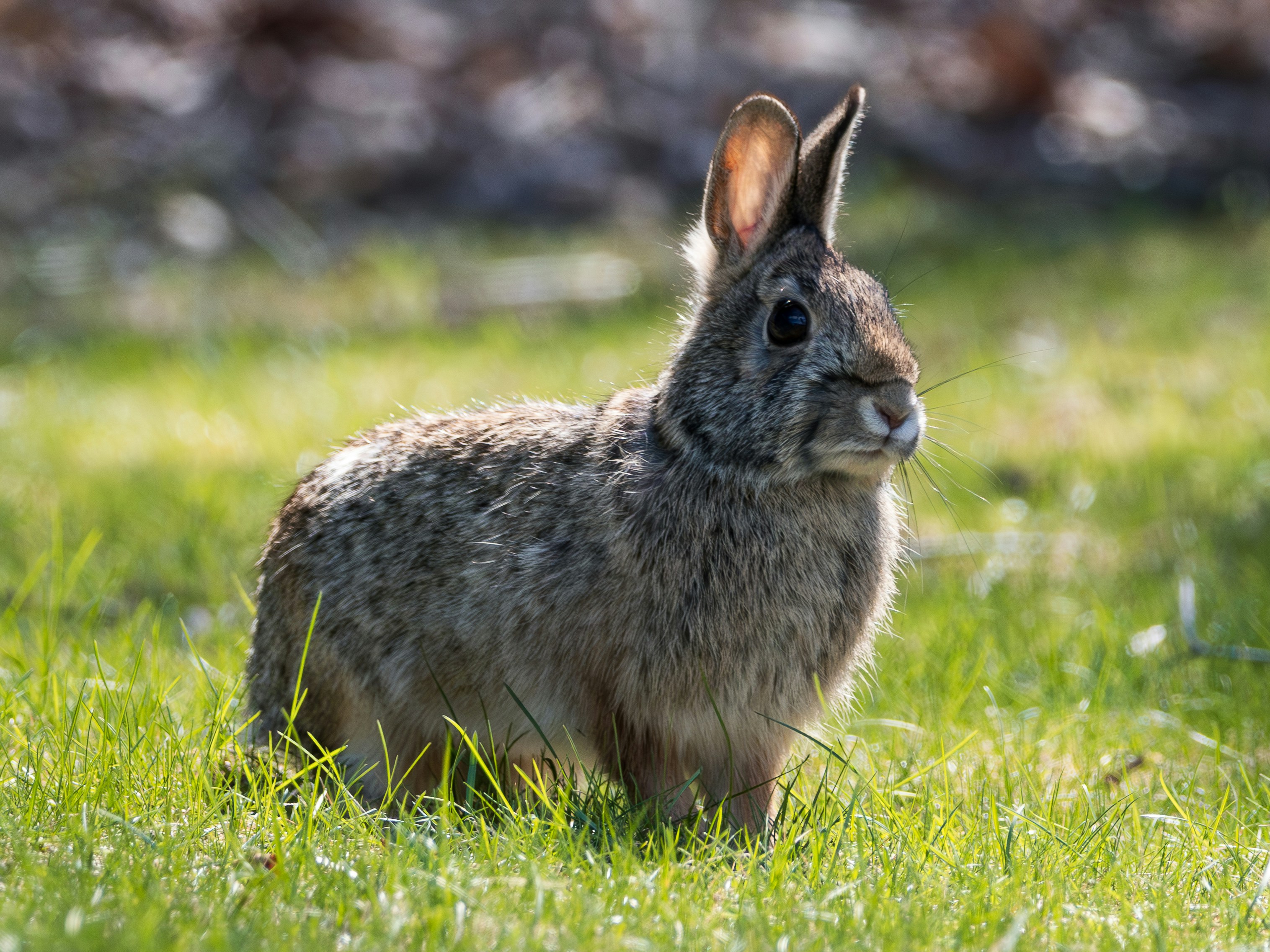 Photo by williamfaicher