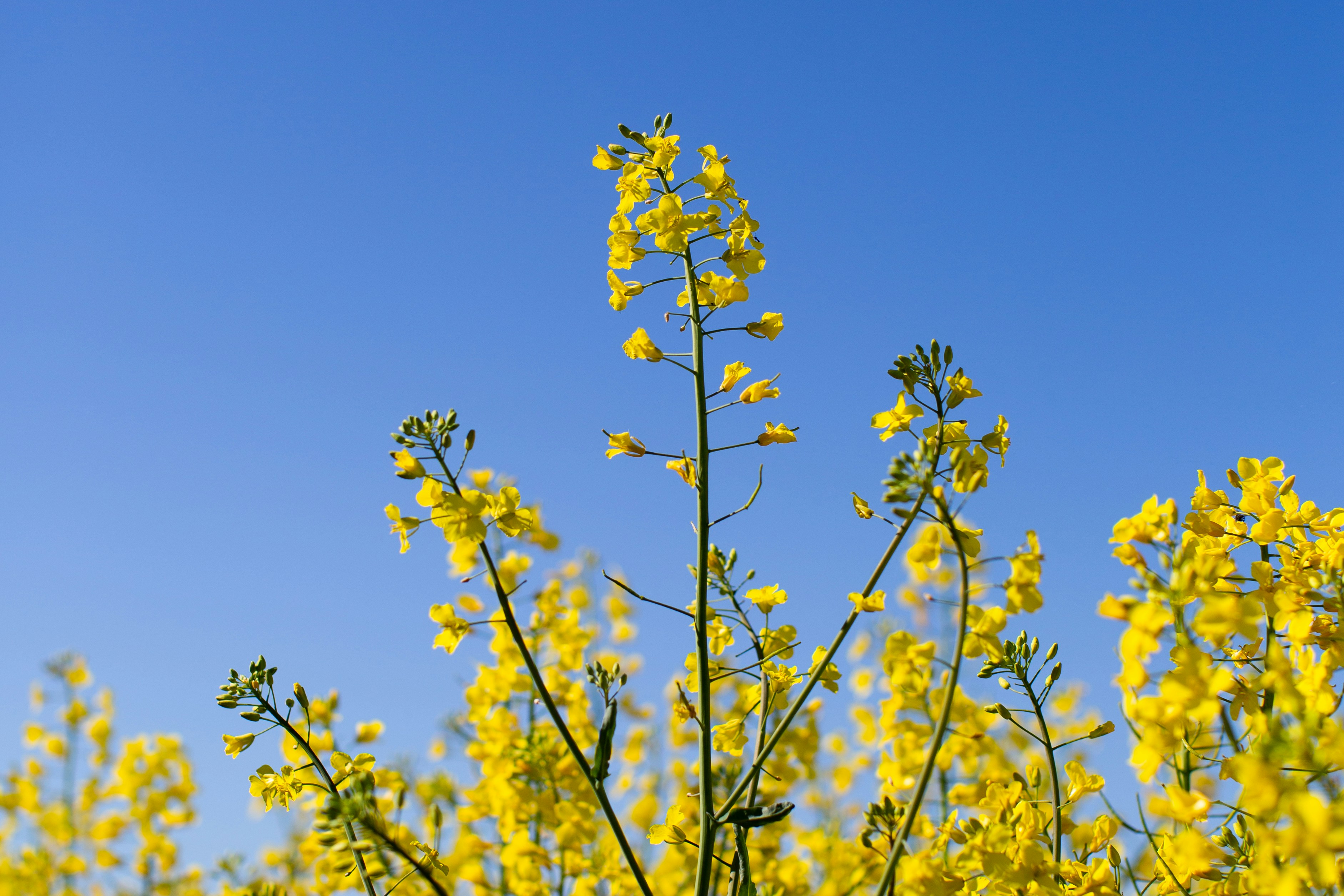 Photo by magkt27042025