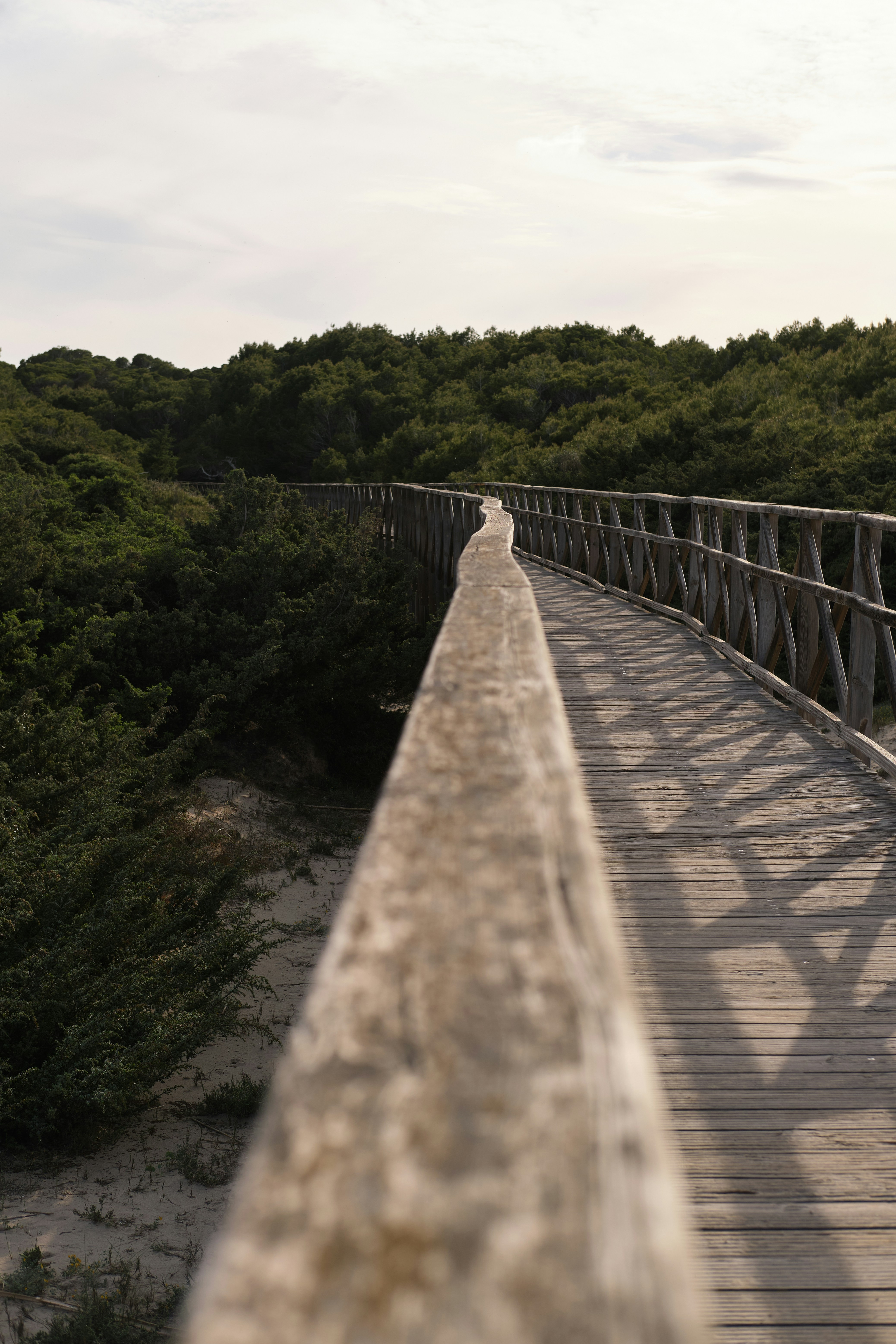 Photo by timschmidbauer