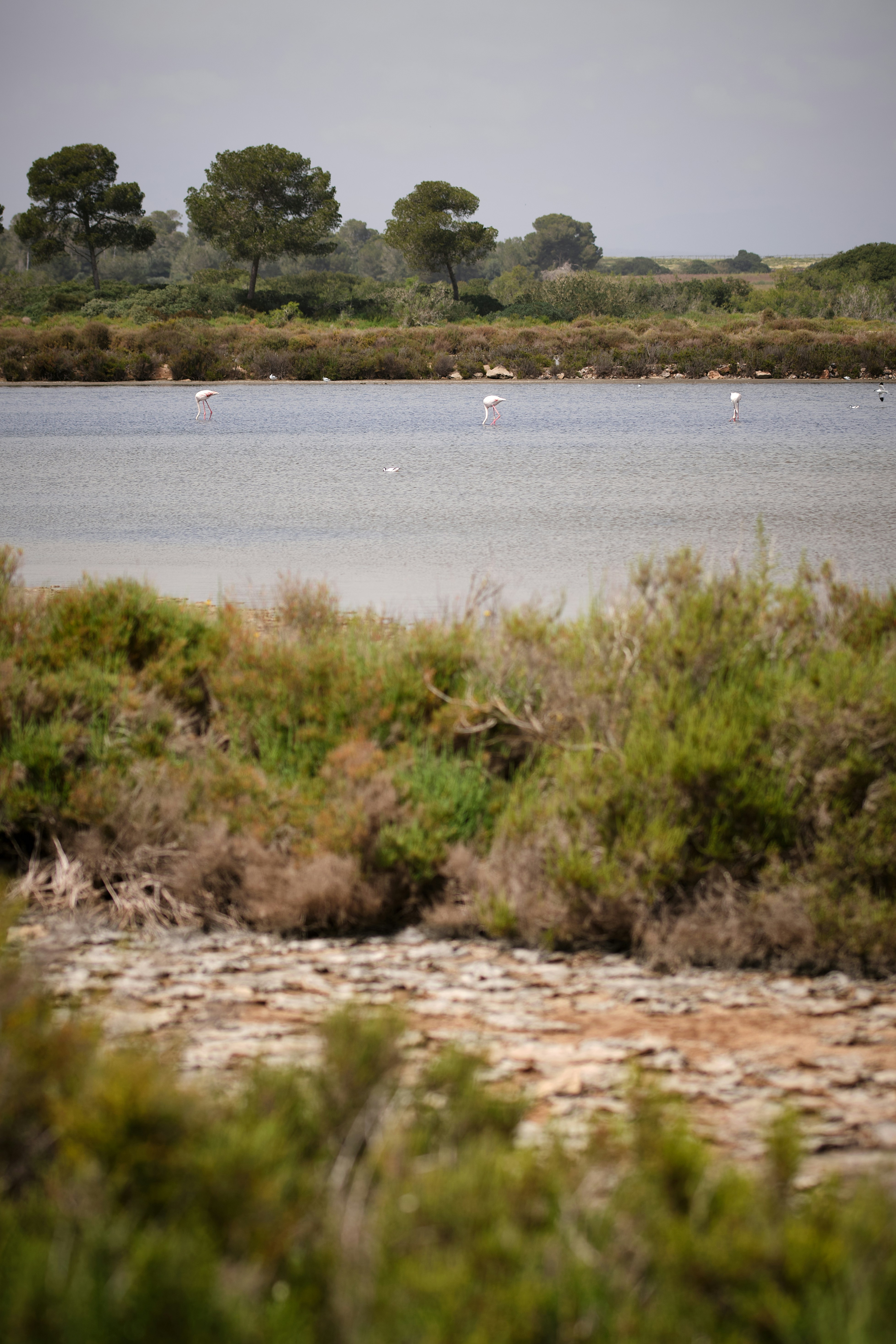 Photo by timschmidbauer