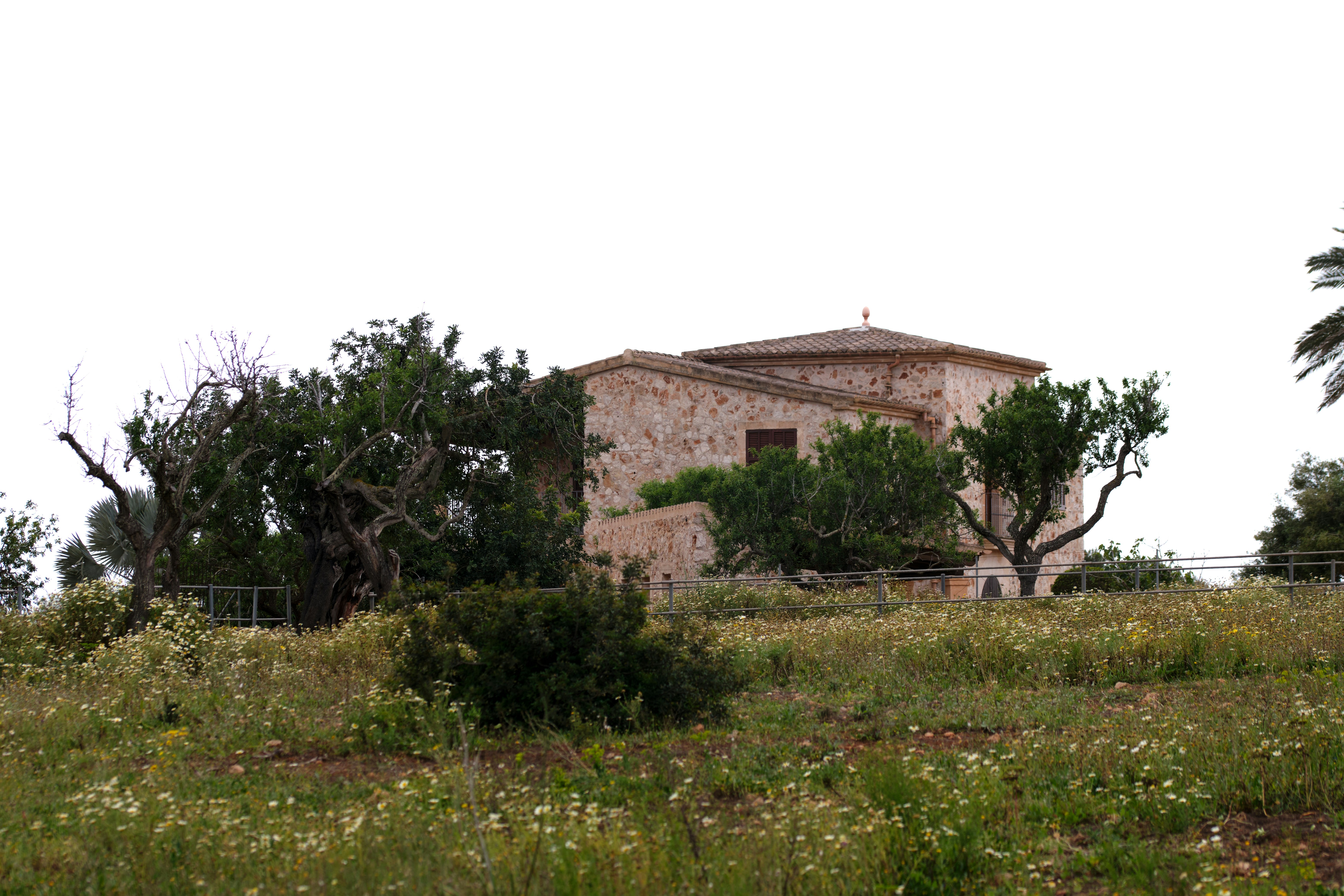 Photo by timschmidbauer