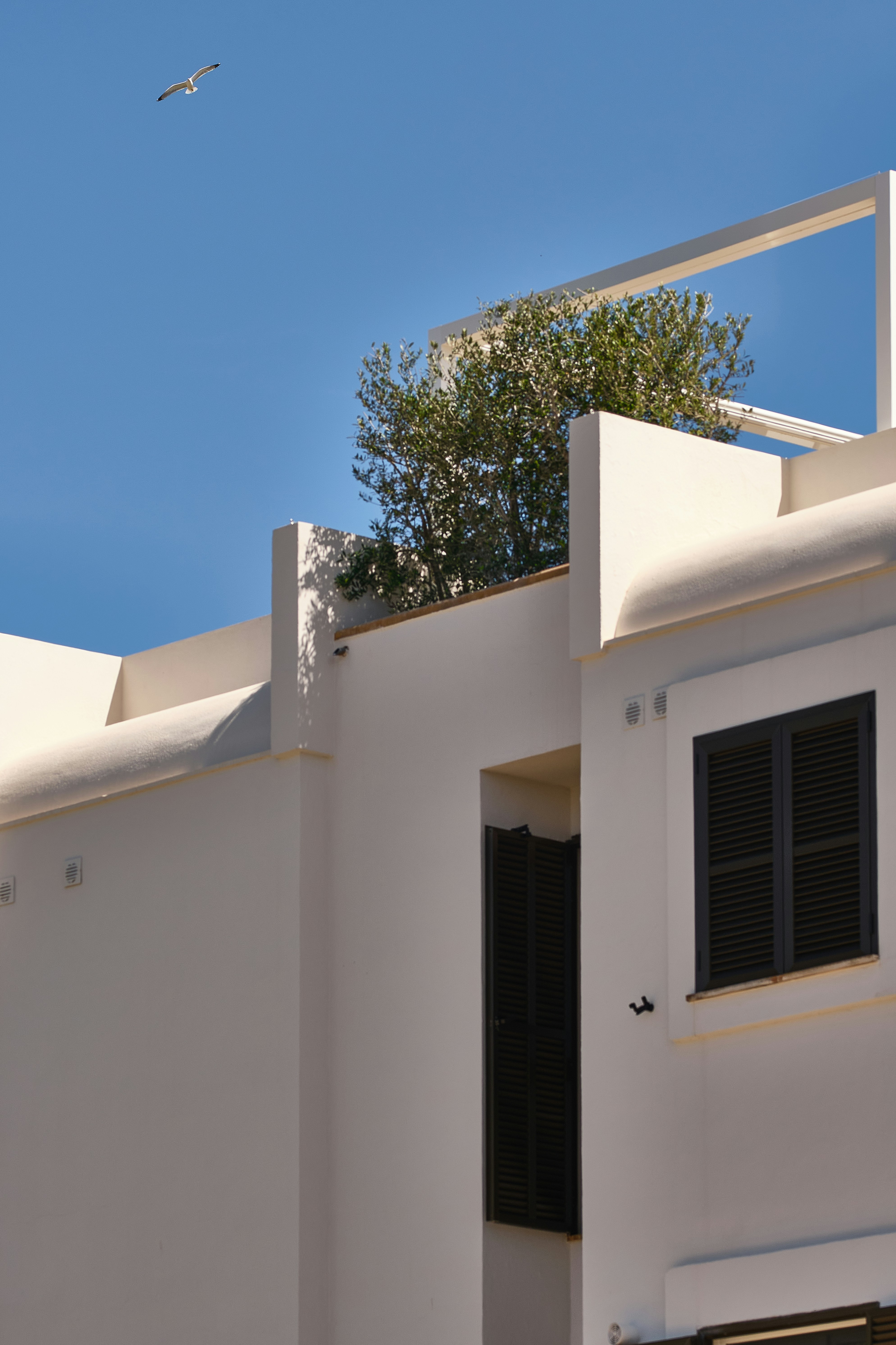 Photo by timschmidbauer