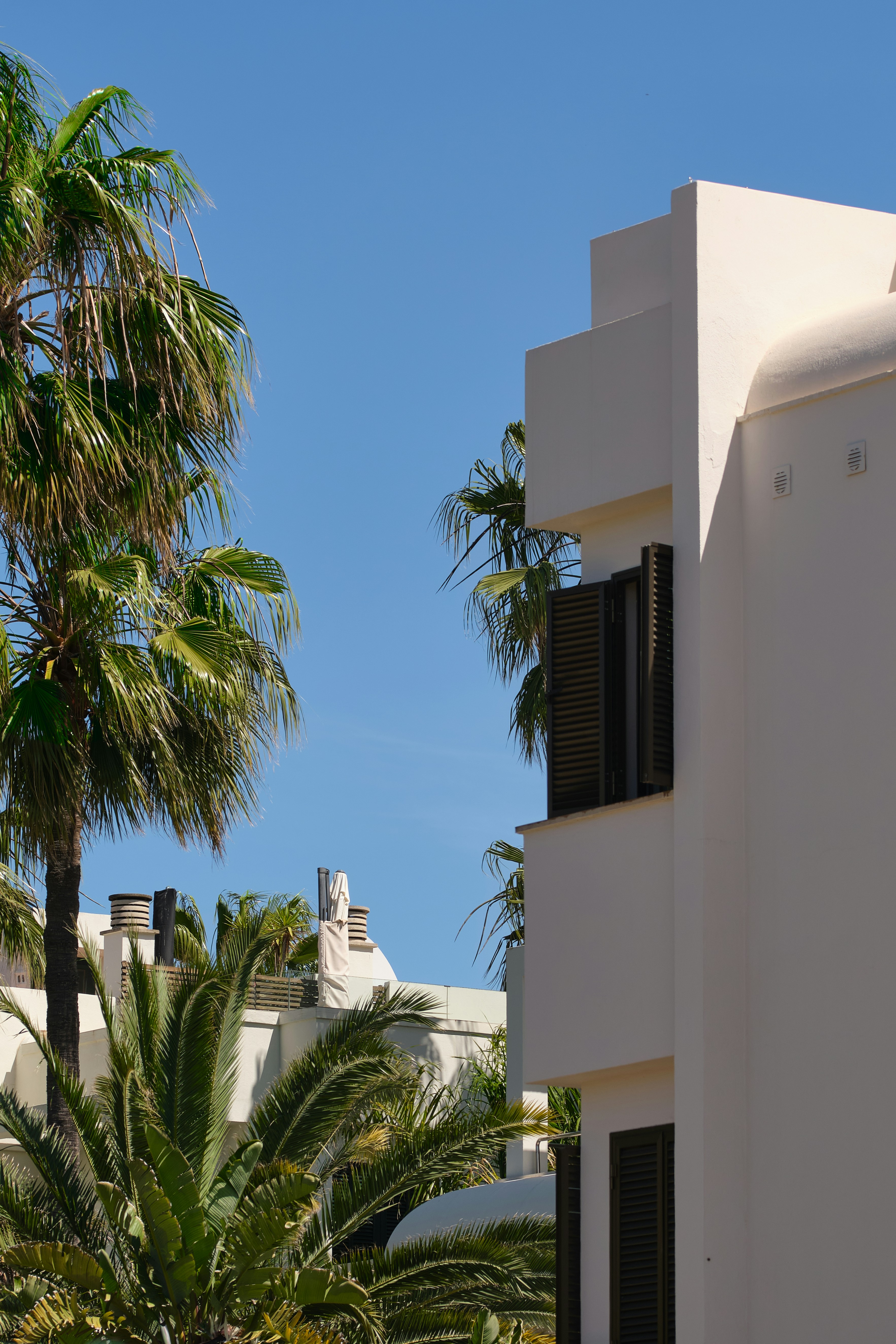 Photo by timschmidbauer