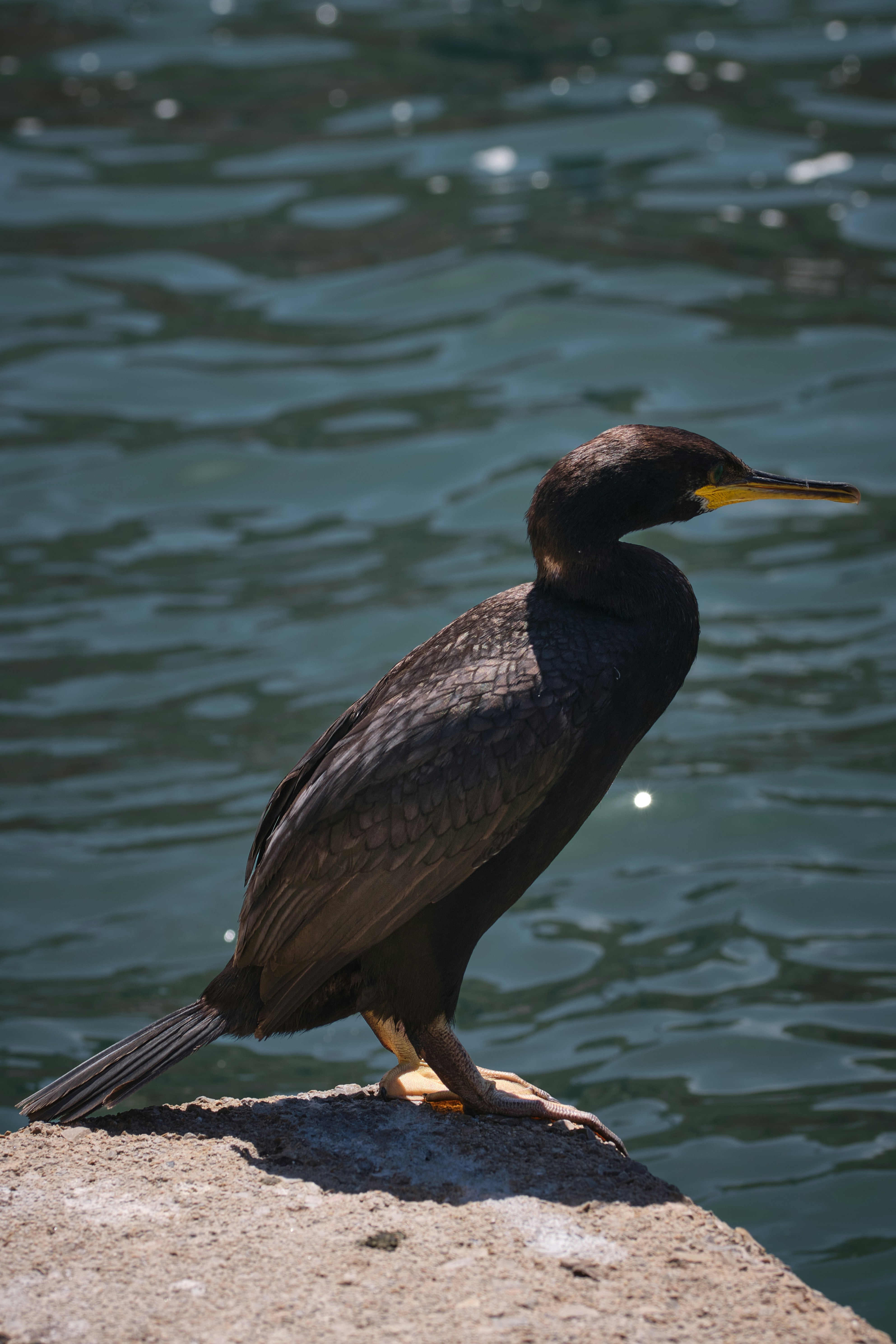 Photo by timschmidbauer