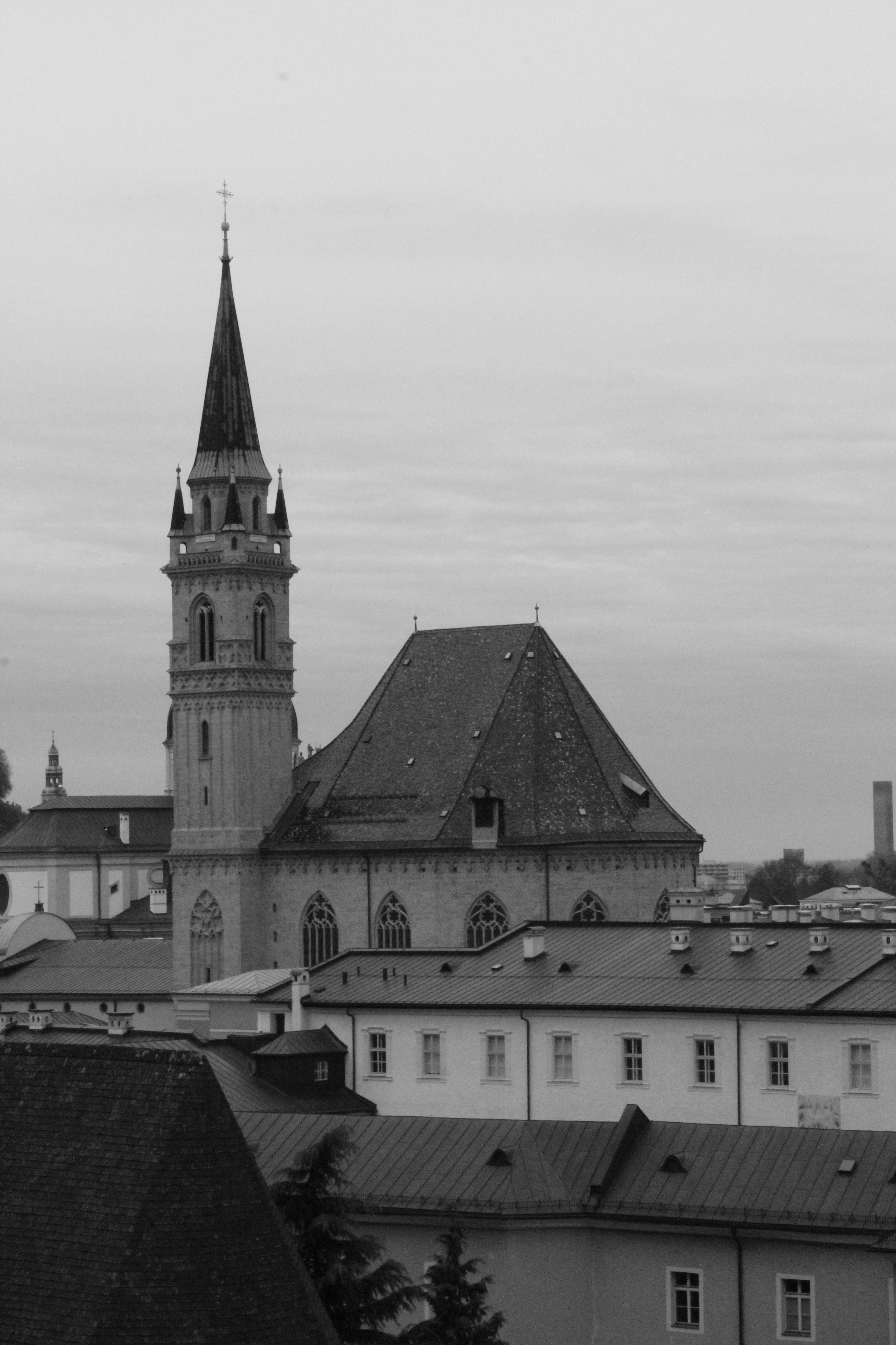 Photo by amirarsalan93