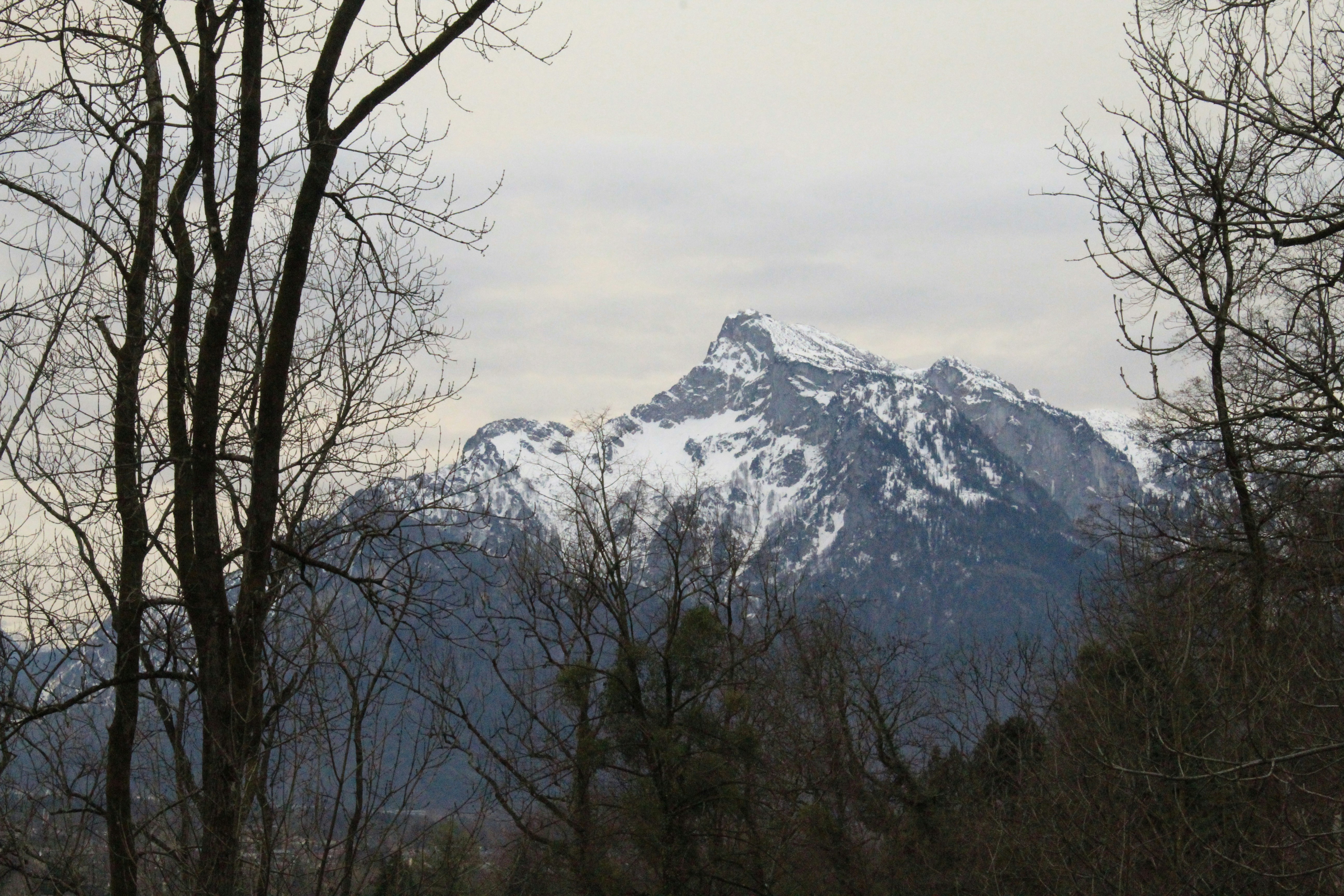 Photo by amirarsalan93