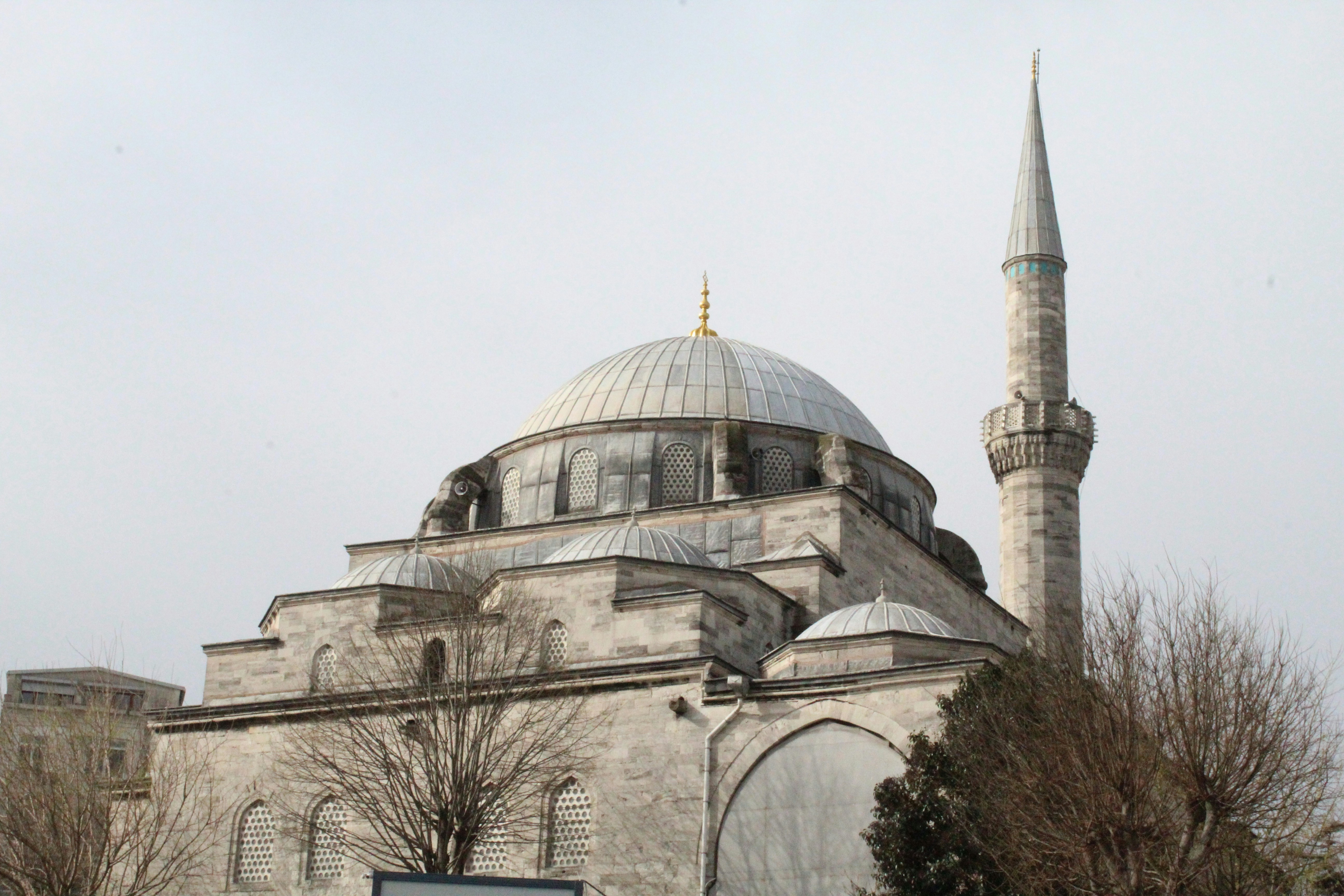 Photo by amirarsalan93