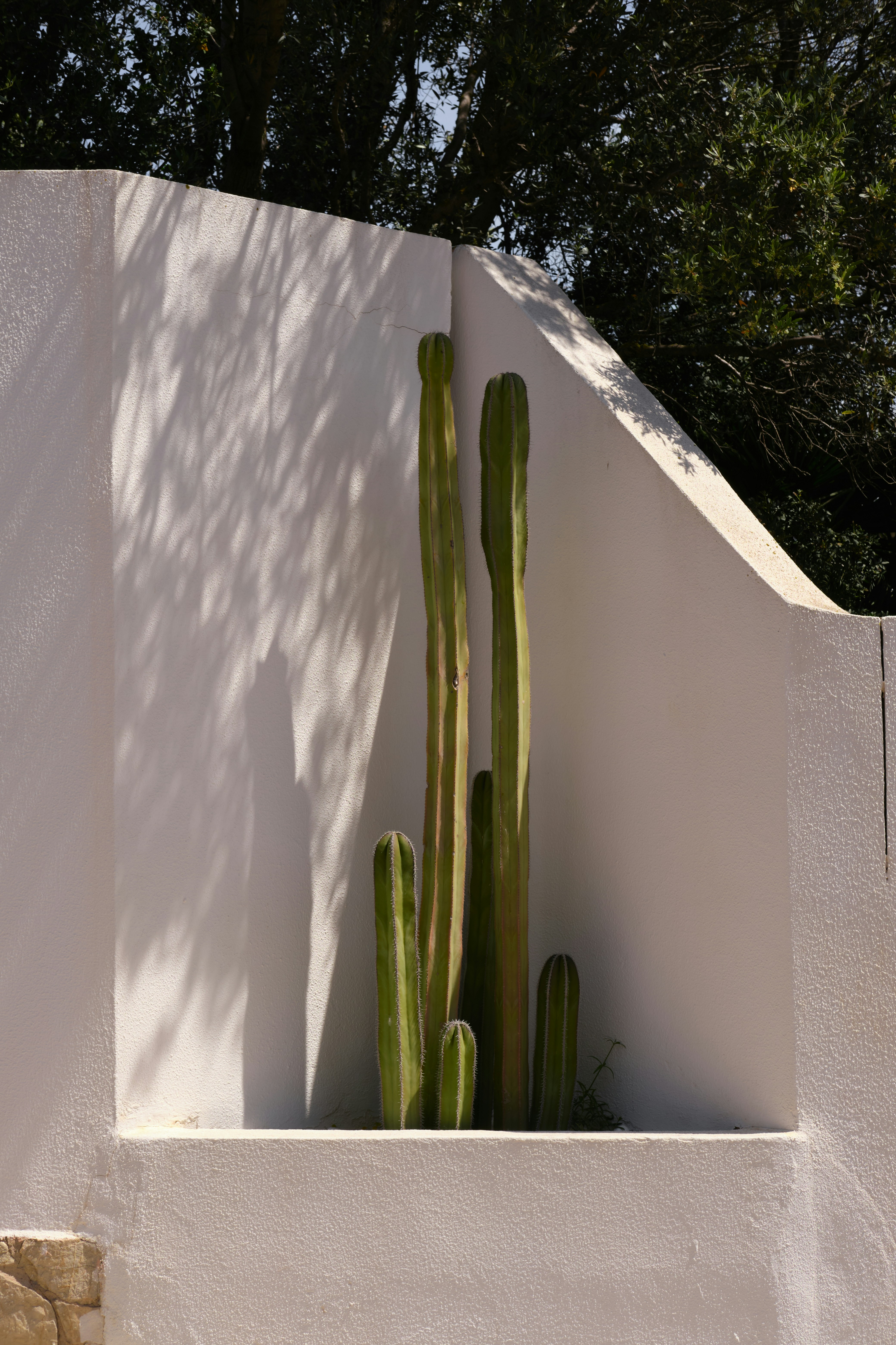 Photo by timschmidbauer