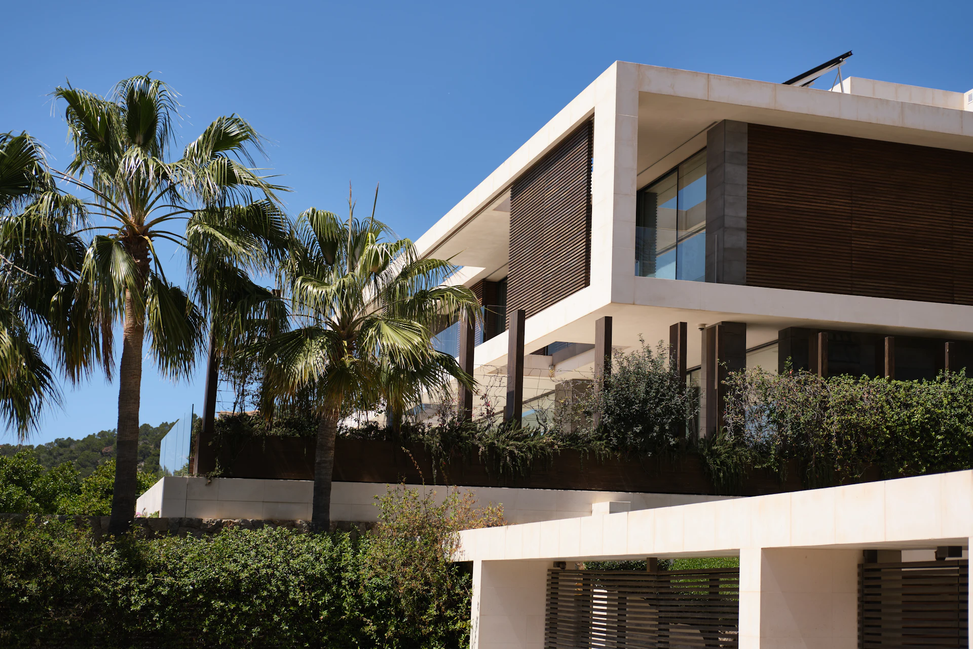 Luxury modern villa set among palm trees
