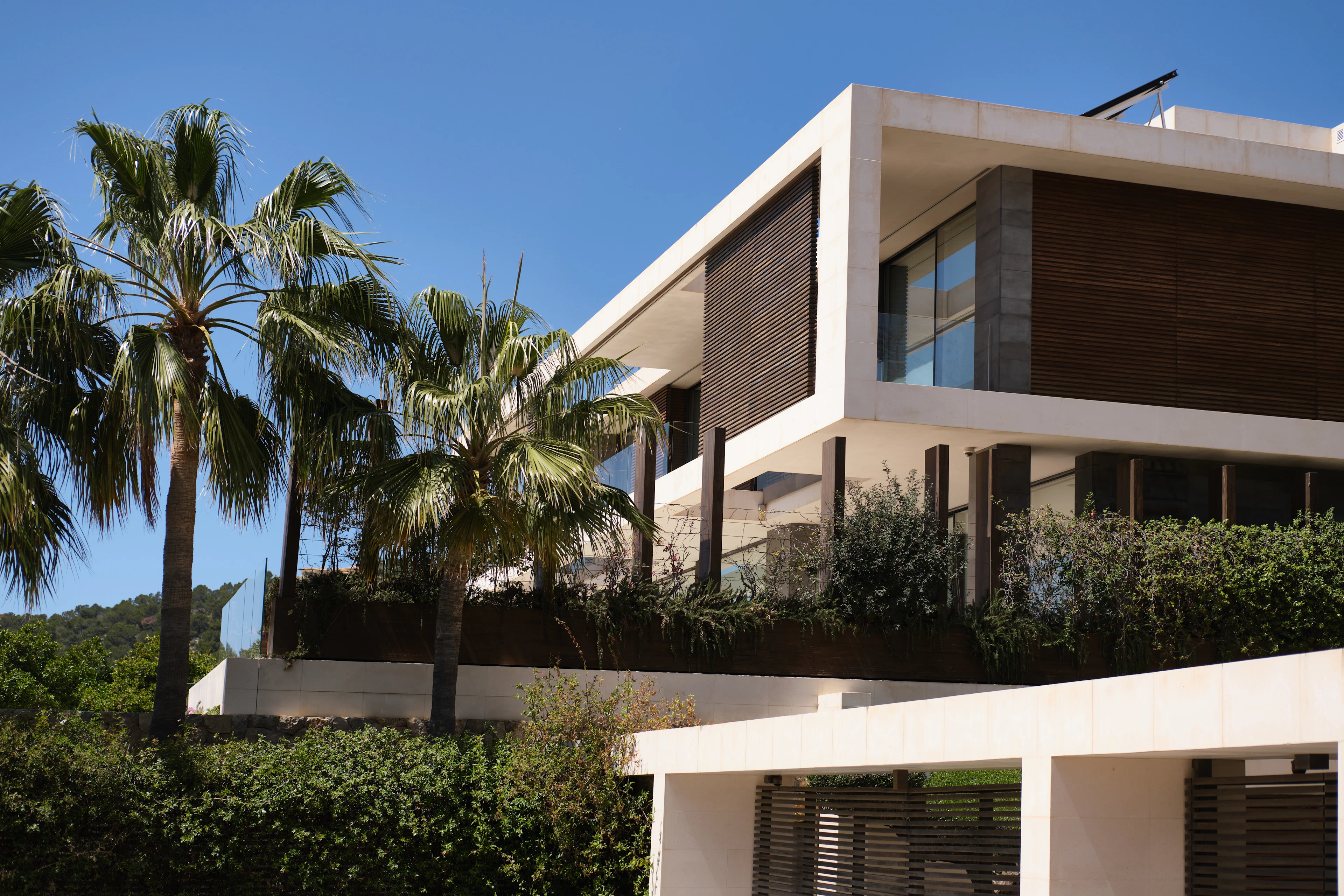 Modern standalone villa set among palm trees