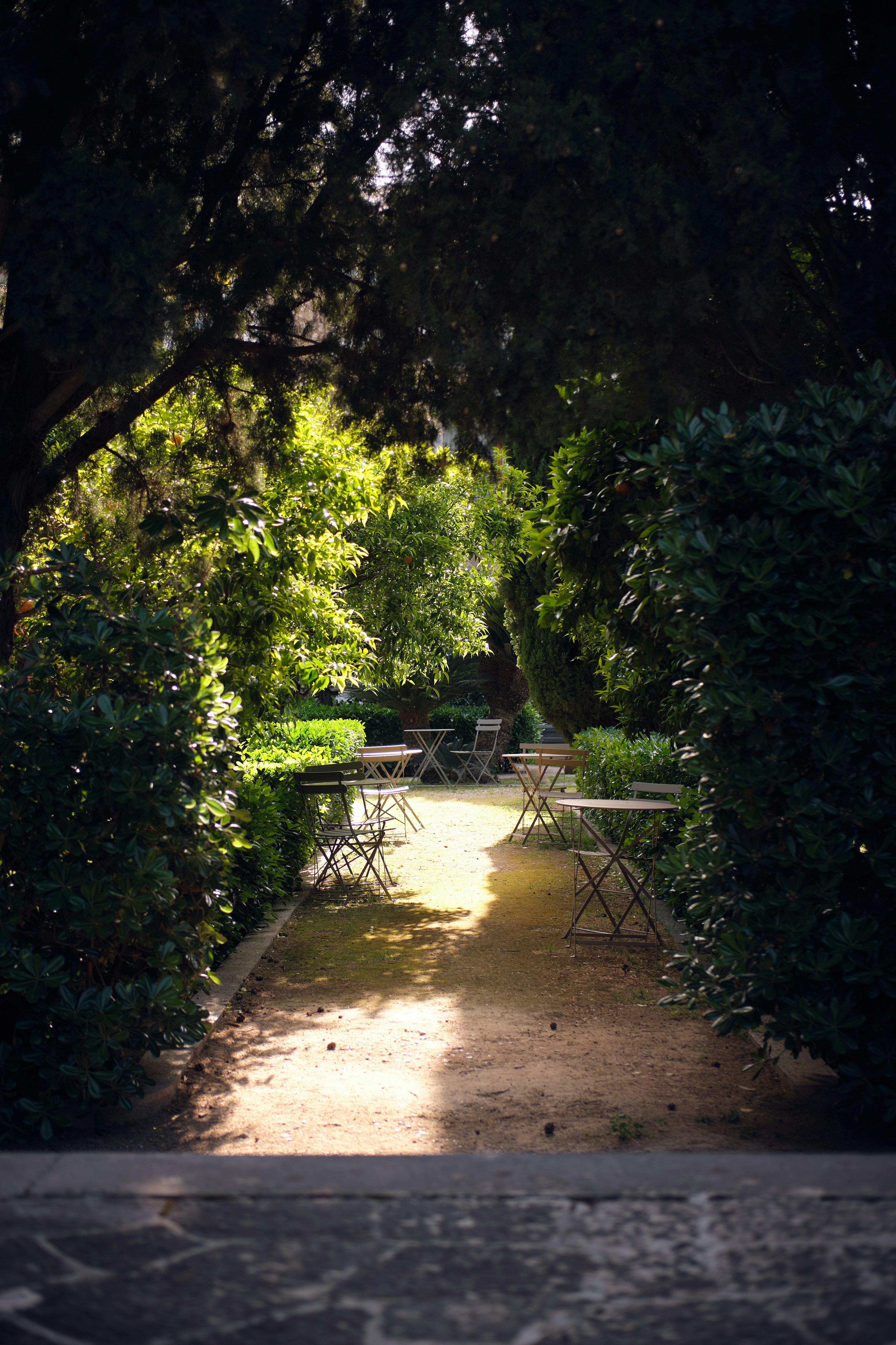 Photo by timschmidbauer