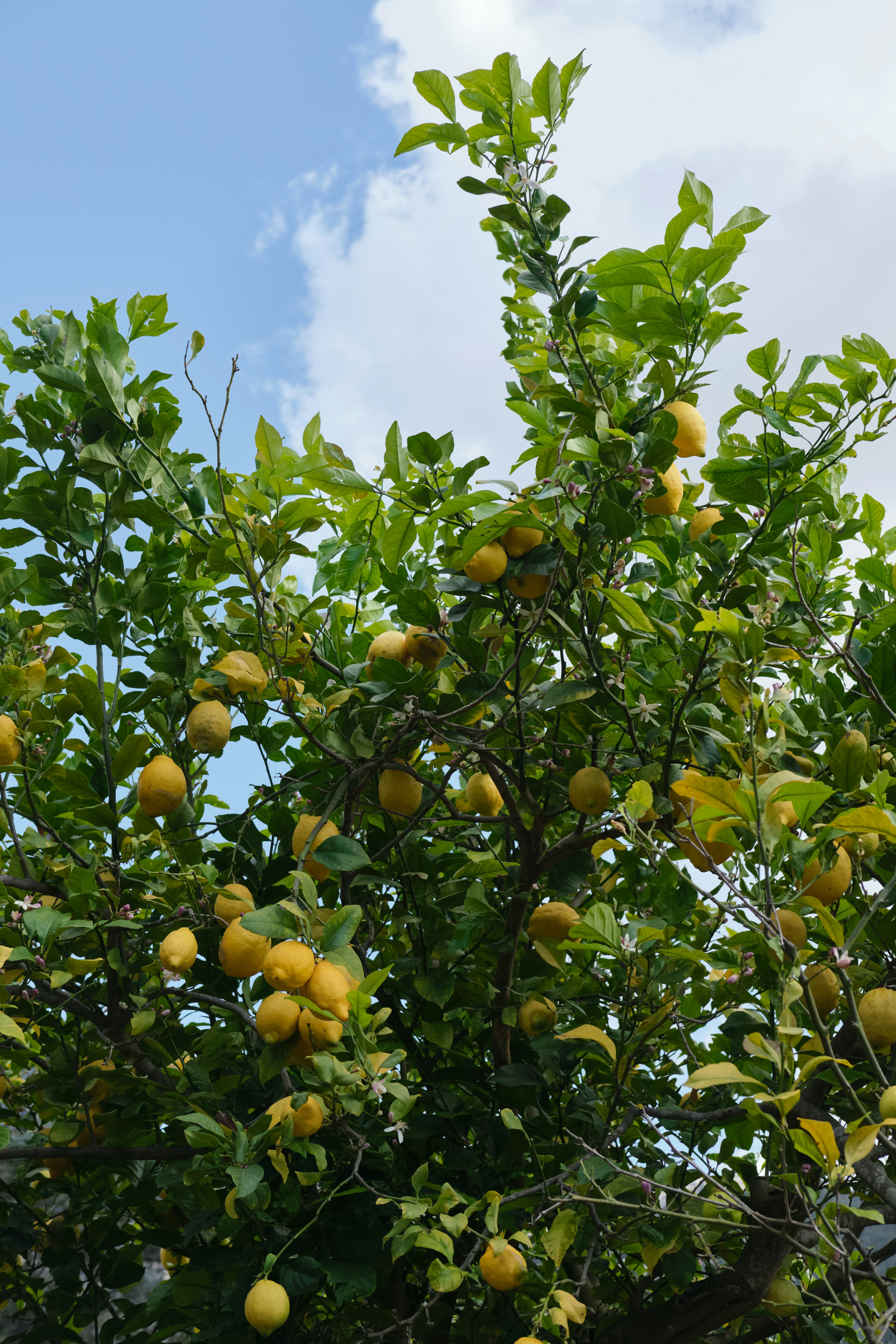 Photo by timschmidbauer