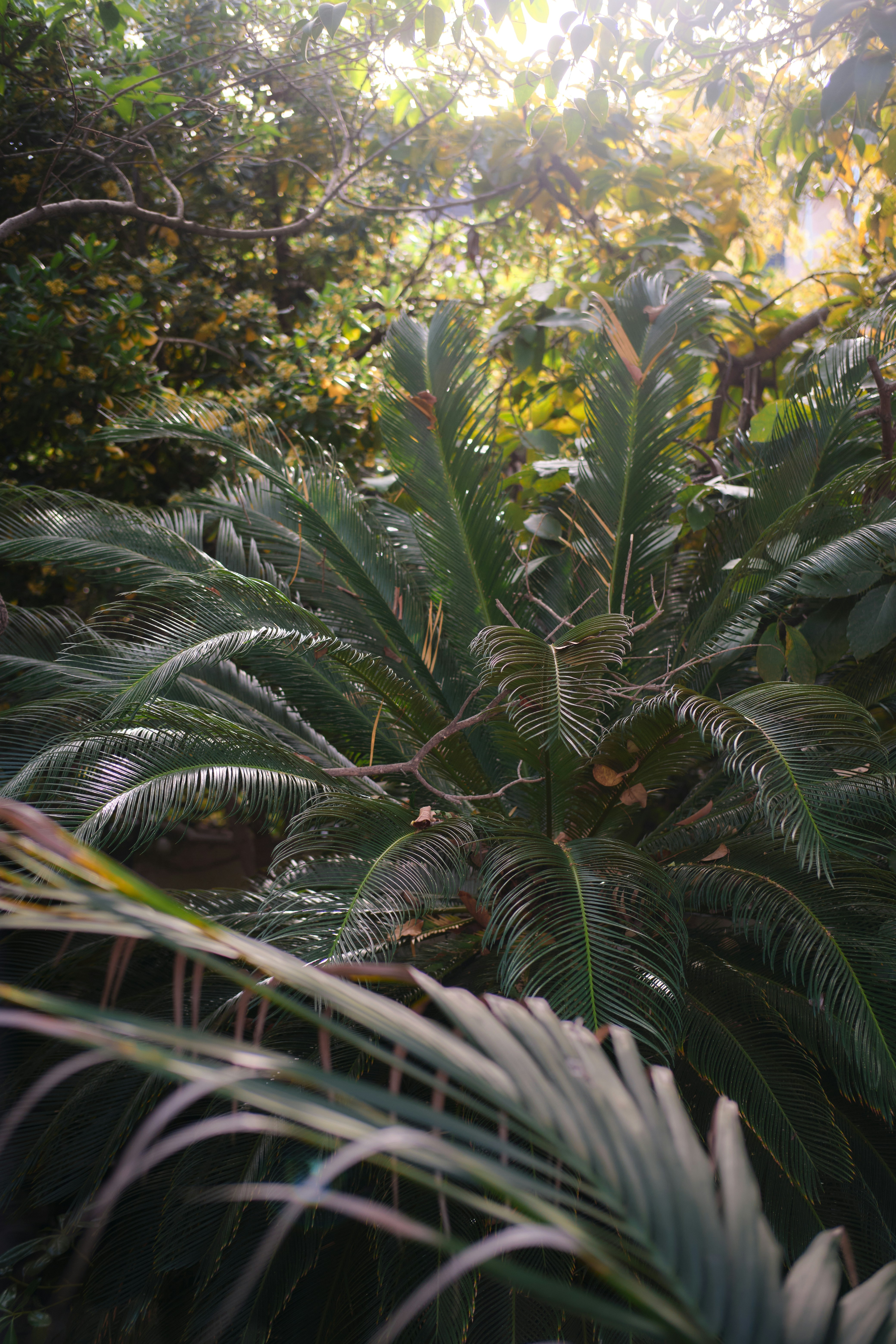 Photo by timschmidbauer