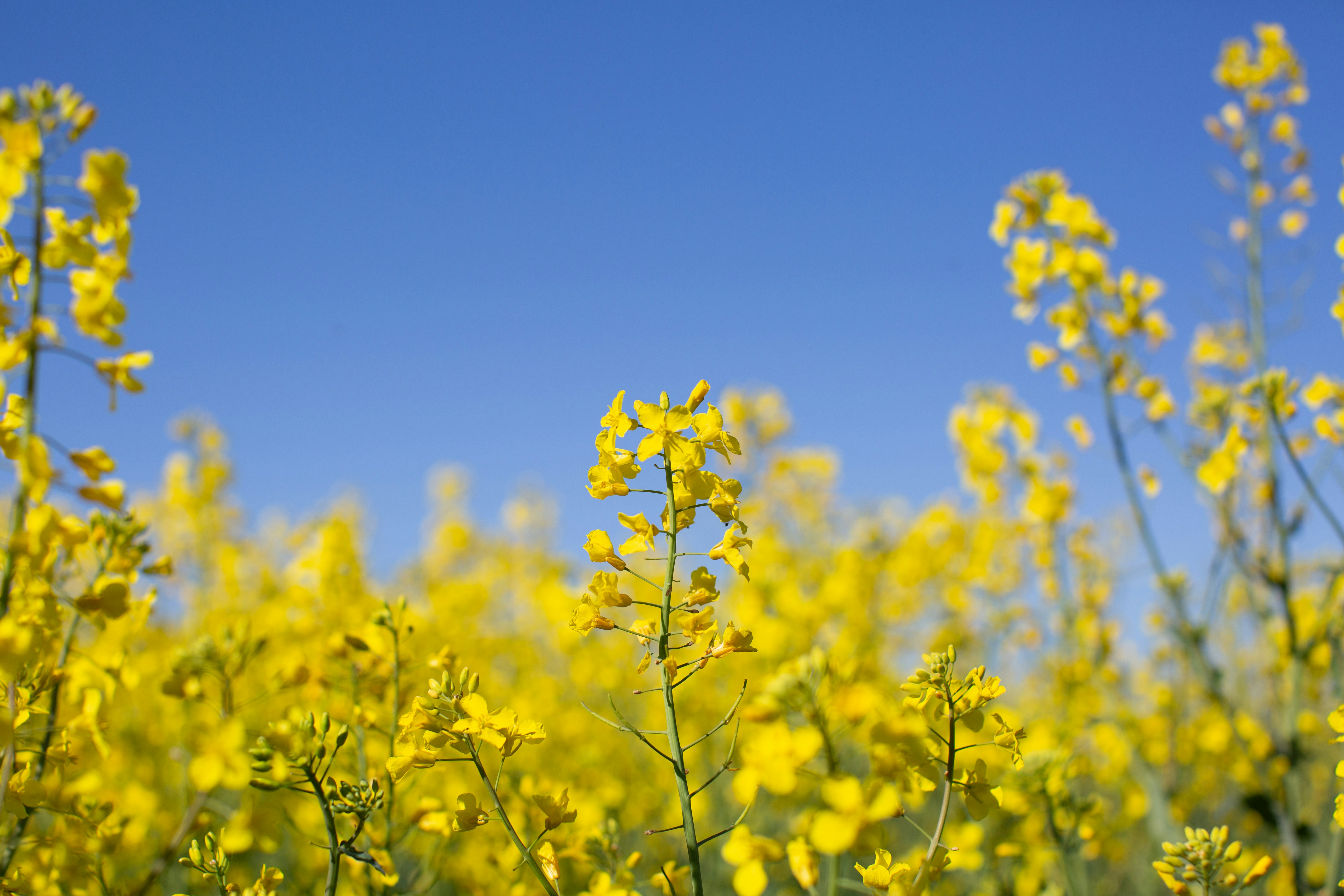 Photo by magkt27042025