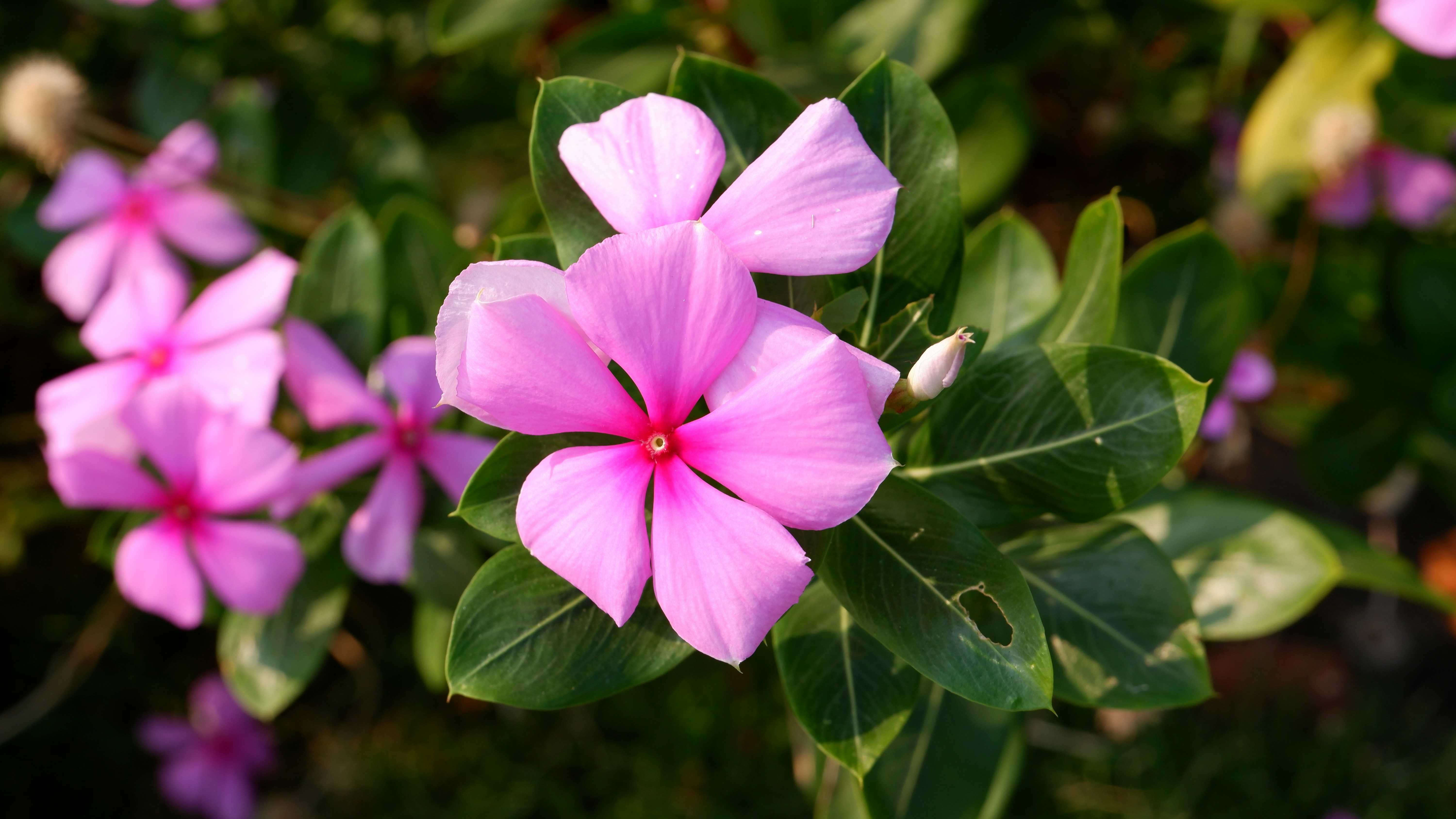 Photo by vizagexplore