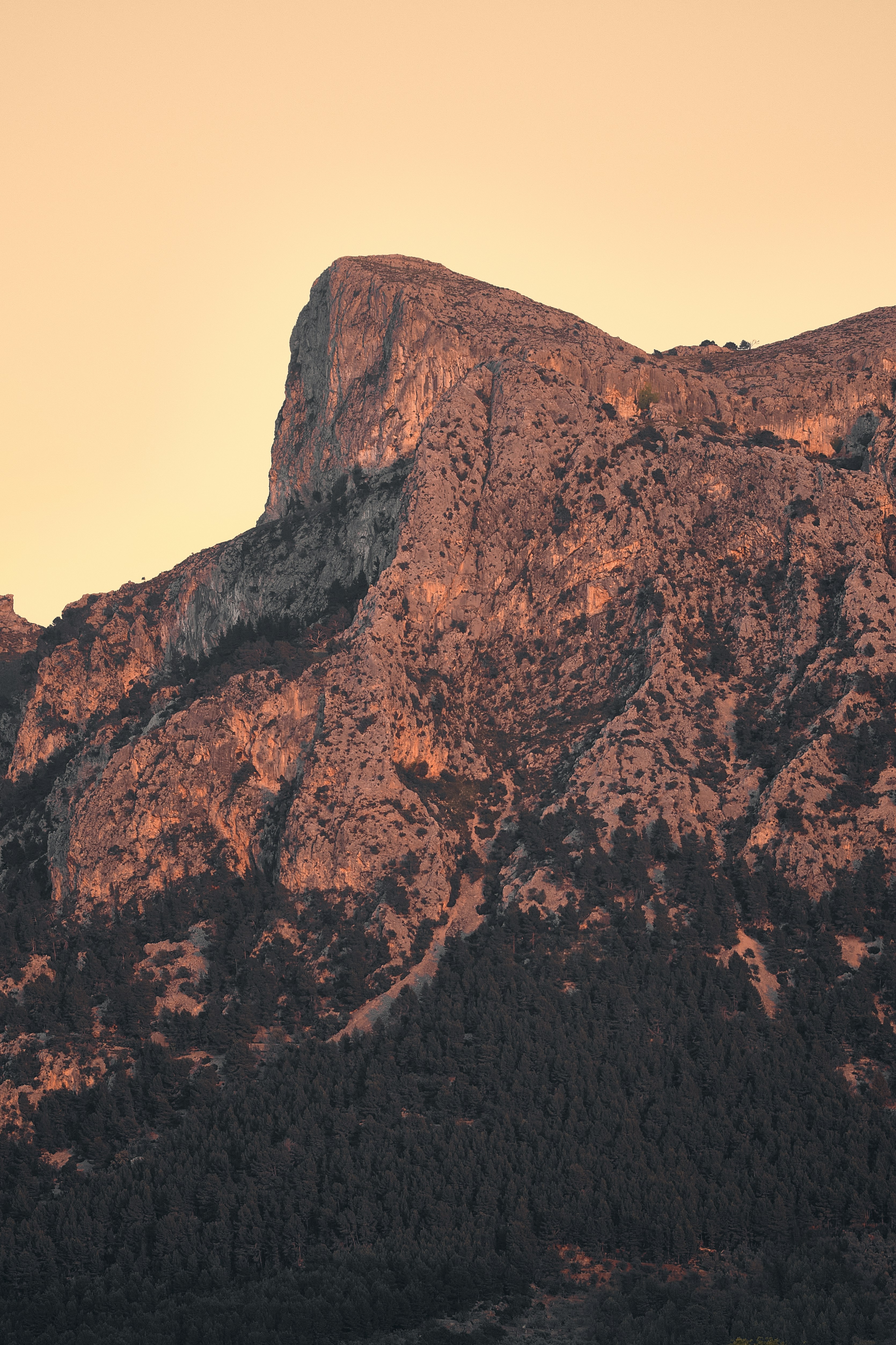 Photo by timschmidbauer