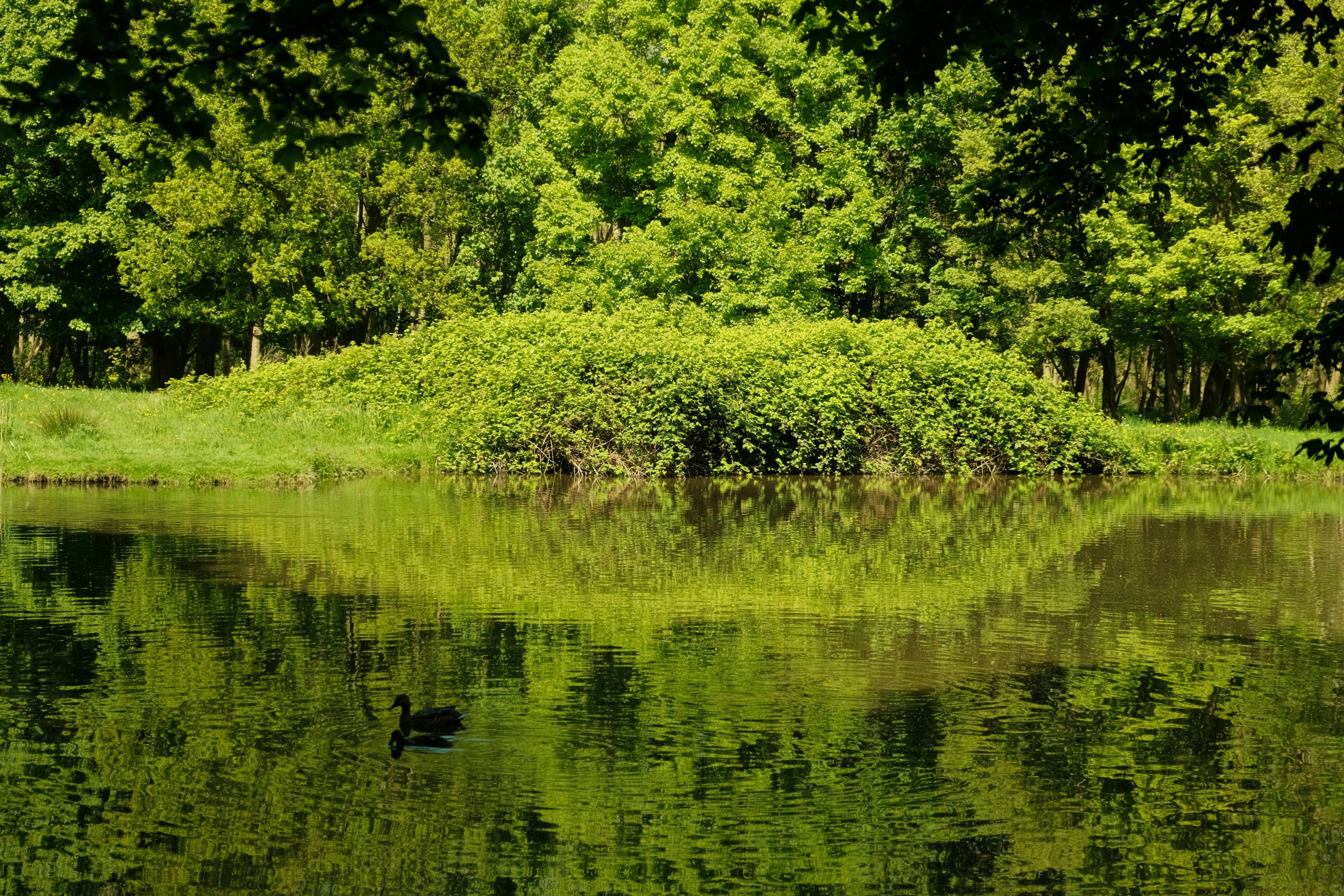 Photo by kyantijhuis