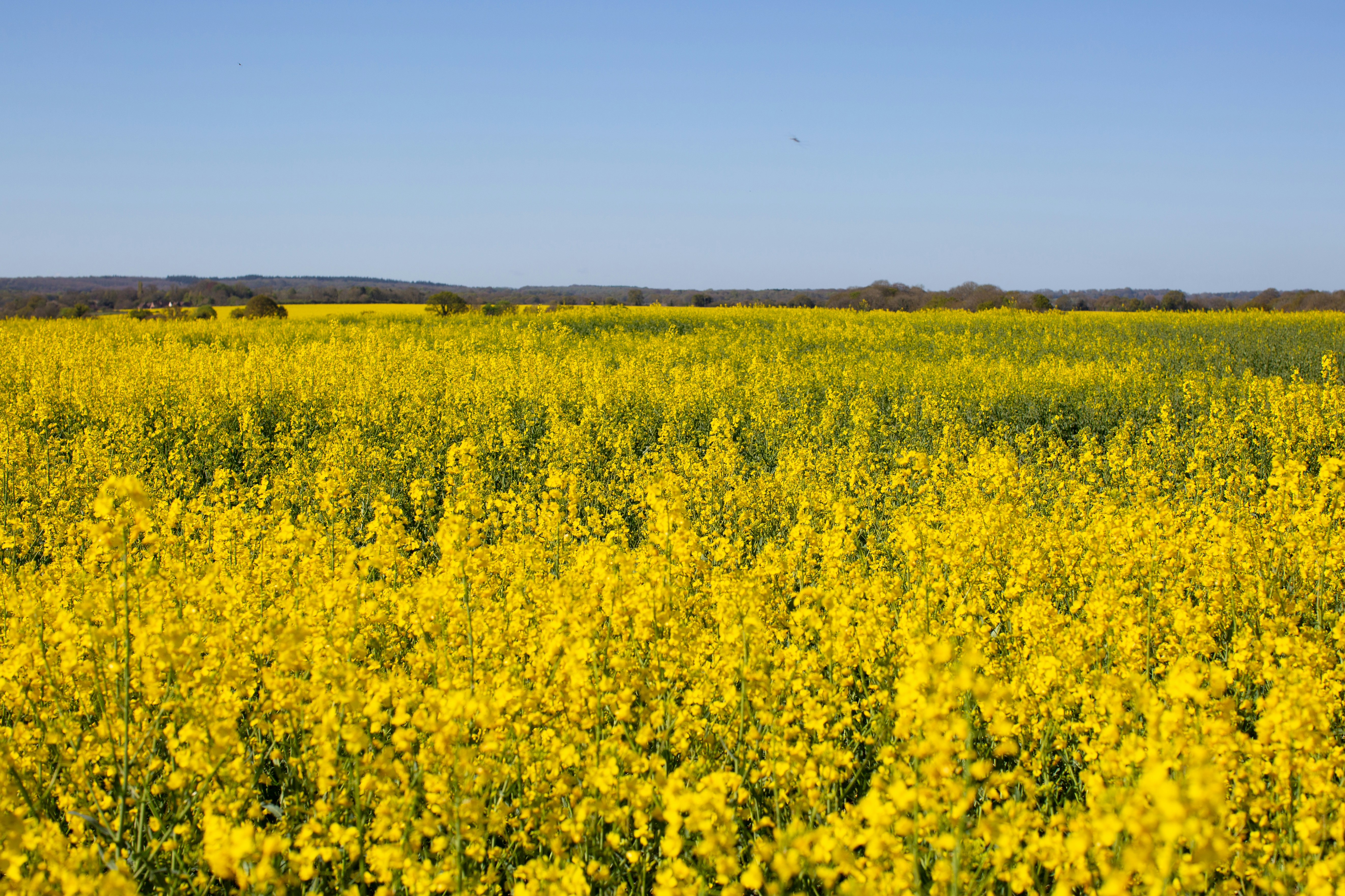 Photo by magkt27042025