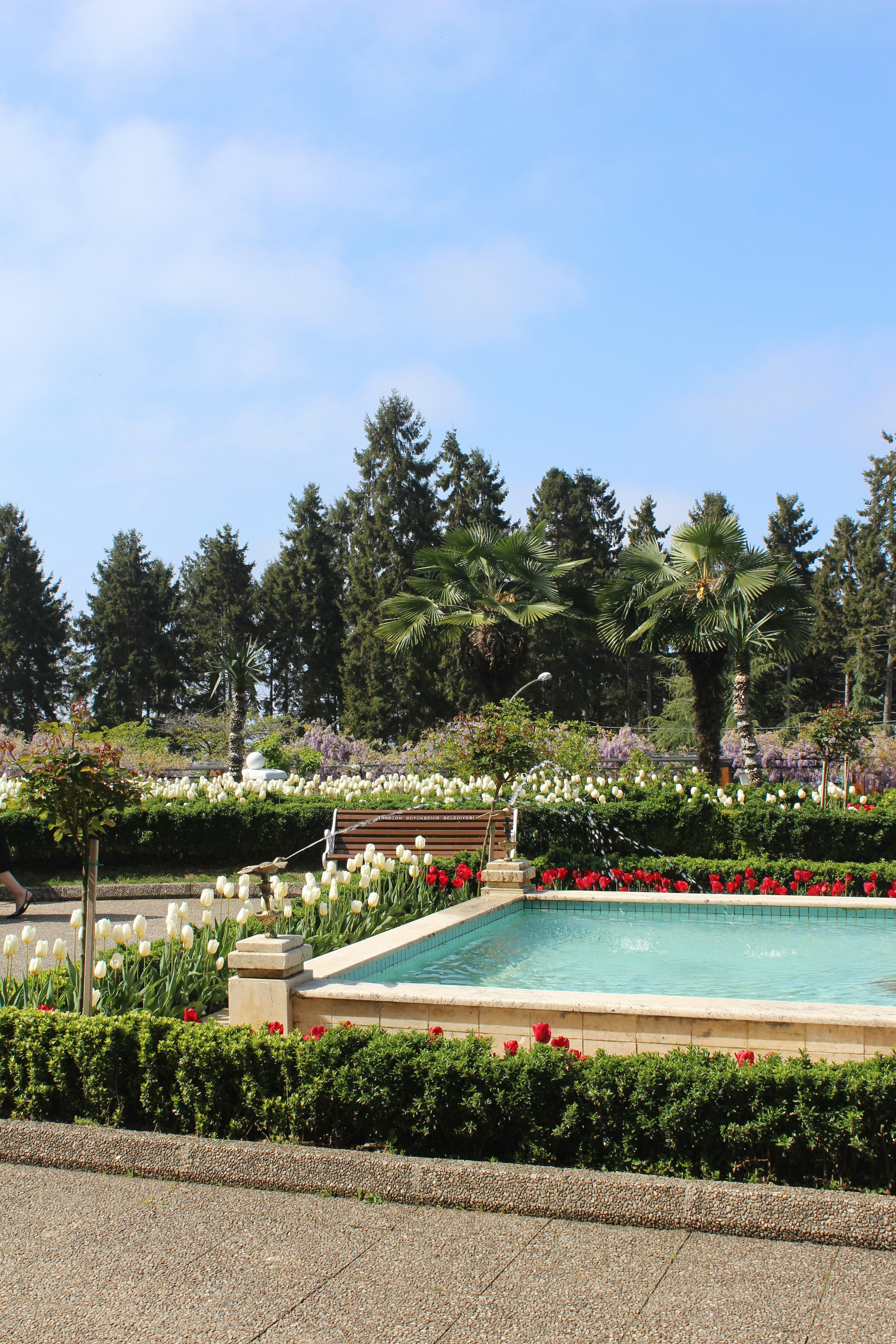 A fountain and garden in a bright, sunny park.