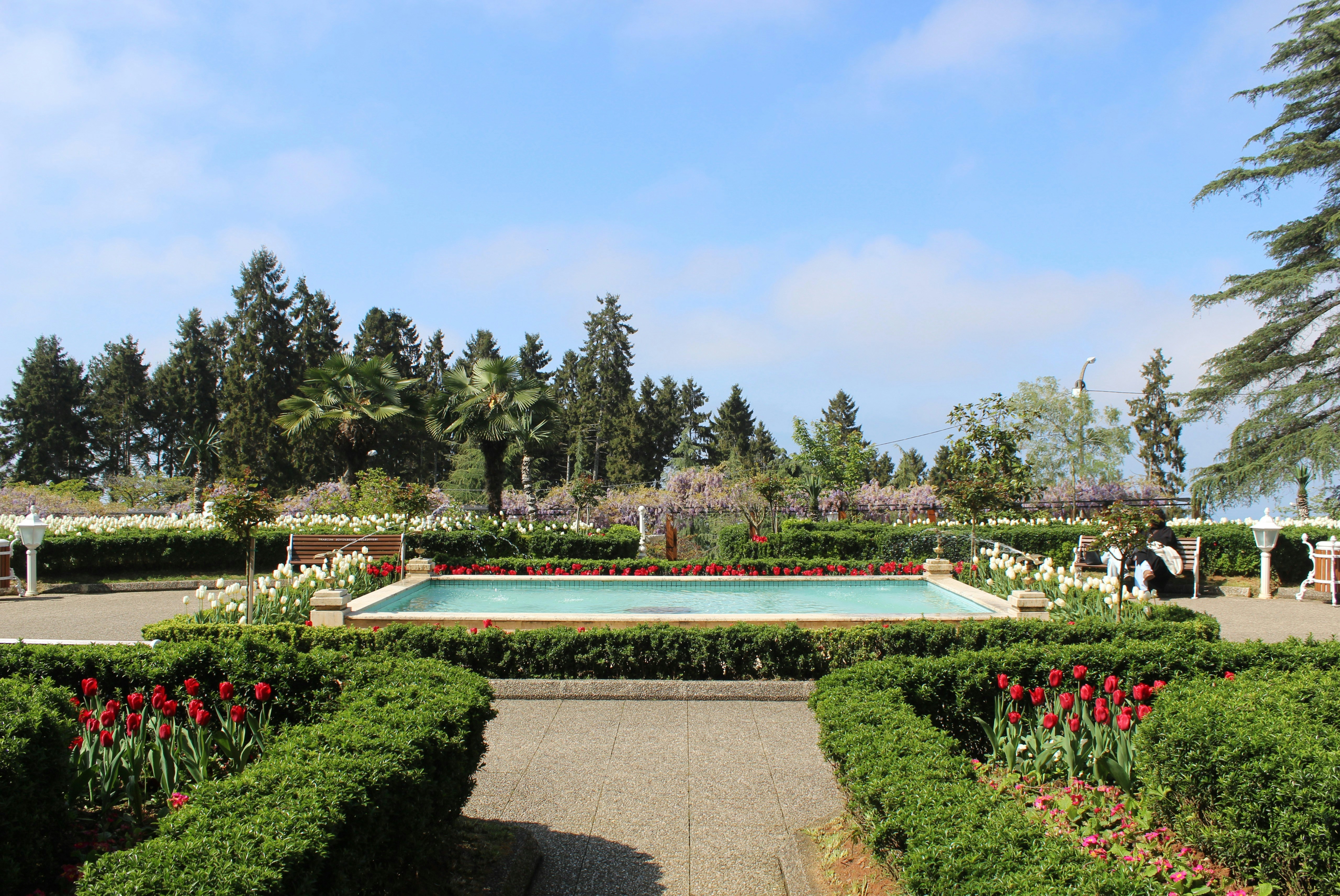 A beautiful garden with a pool and trees.