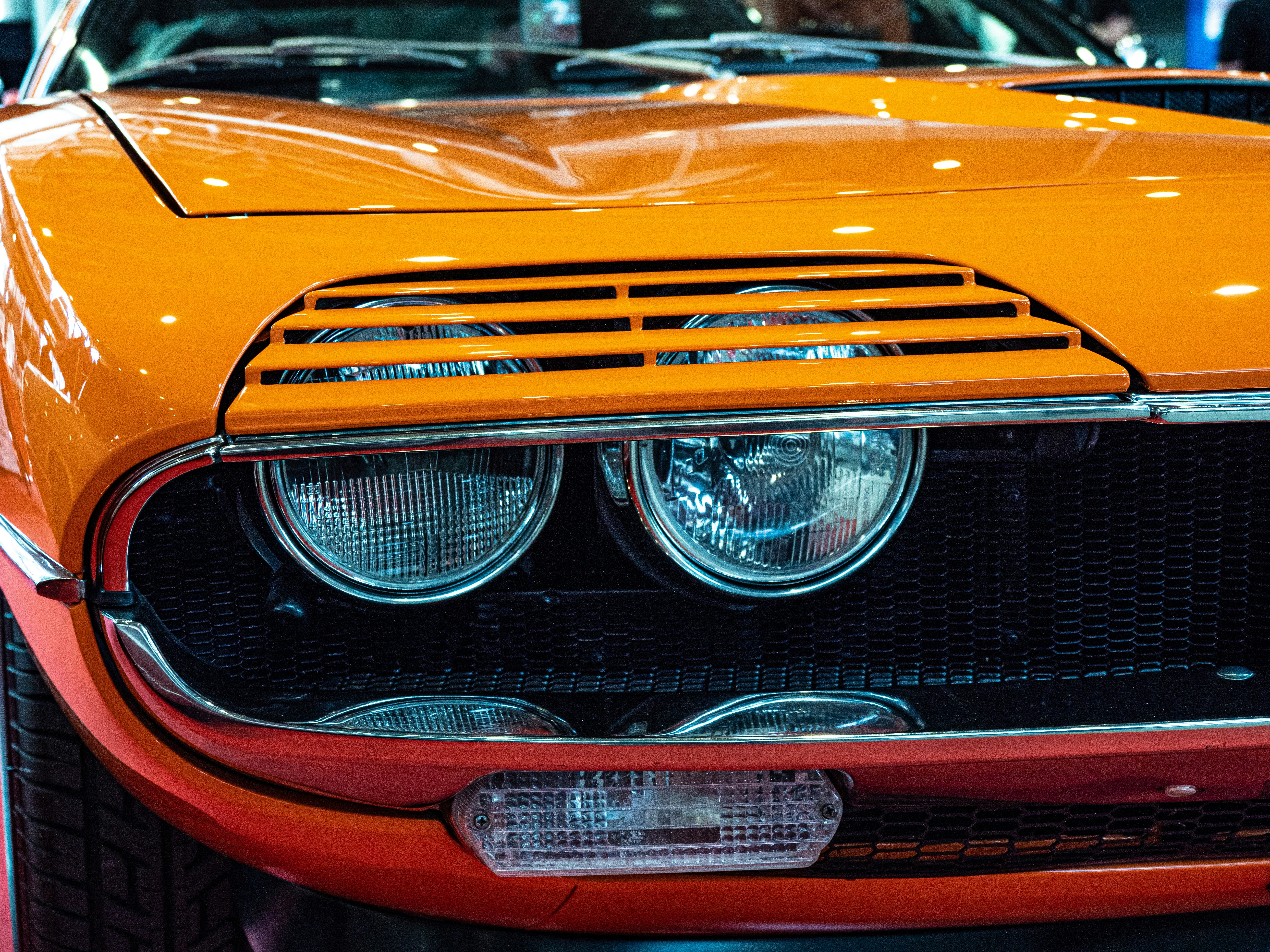 Photo by gopitri_prem