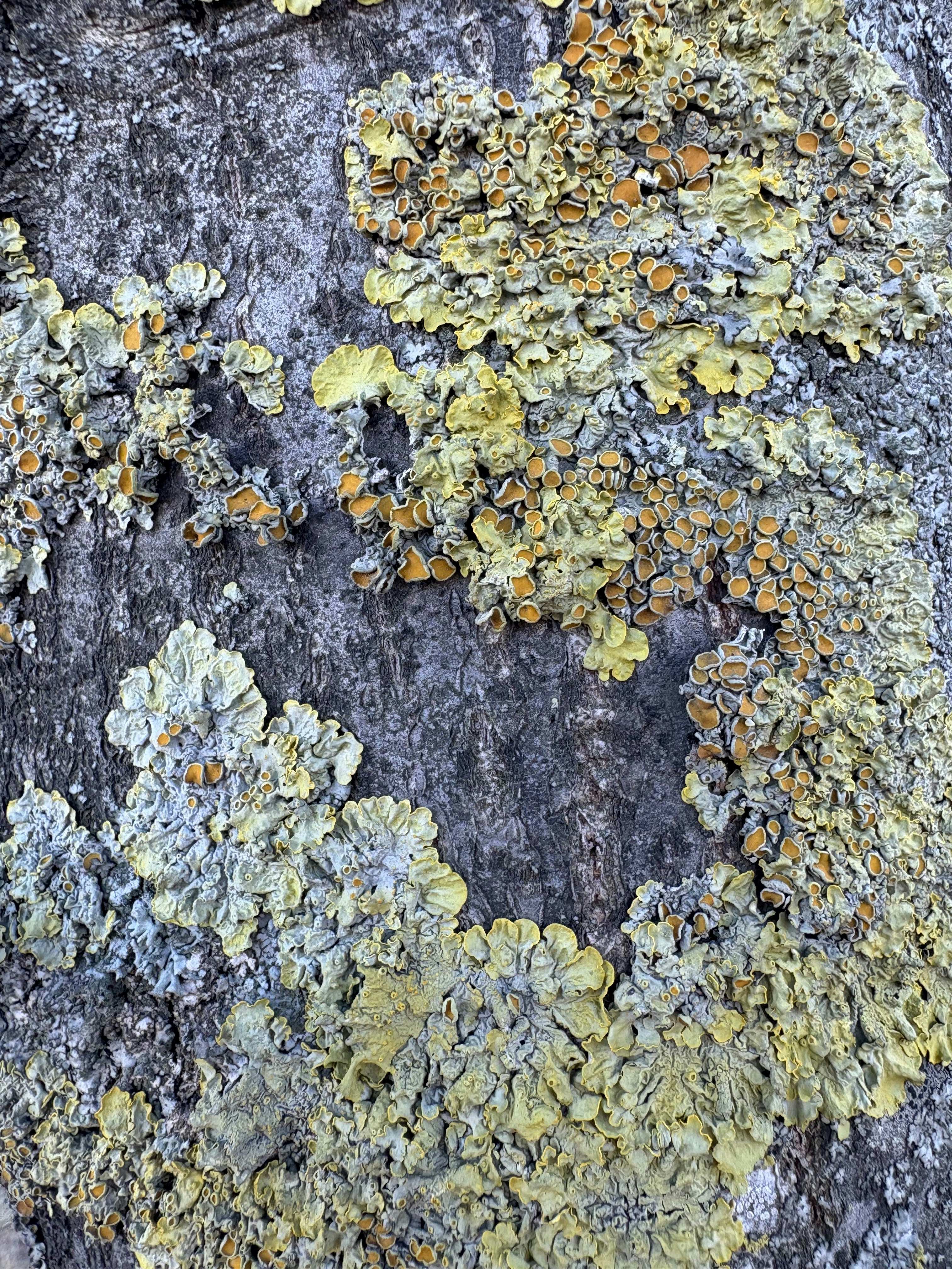 Photo by tashakostyuk