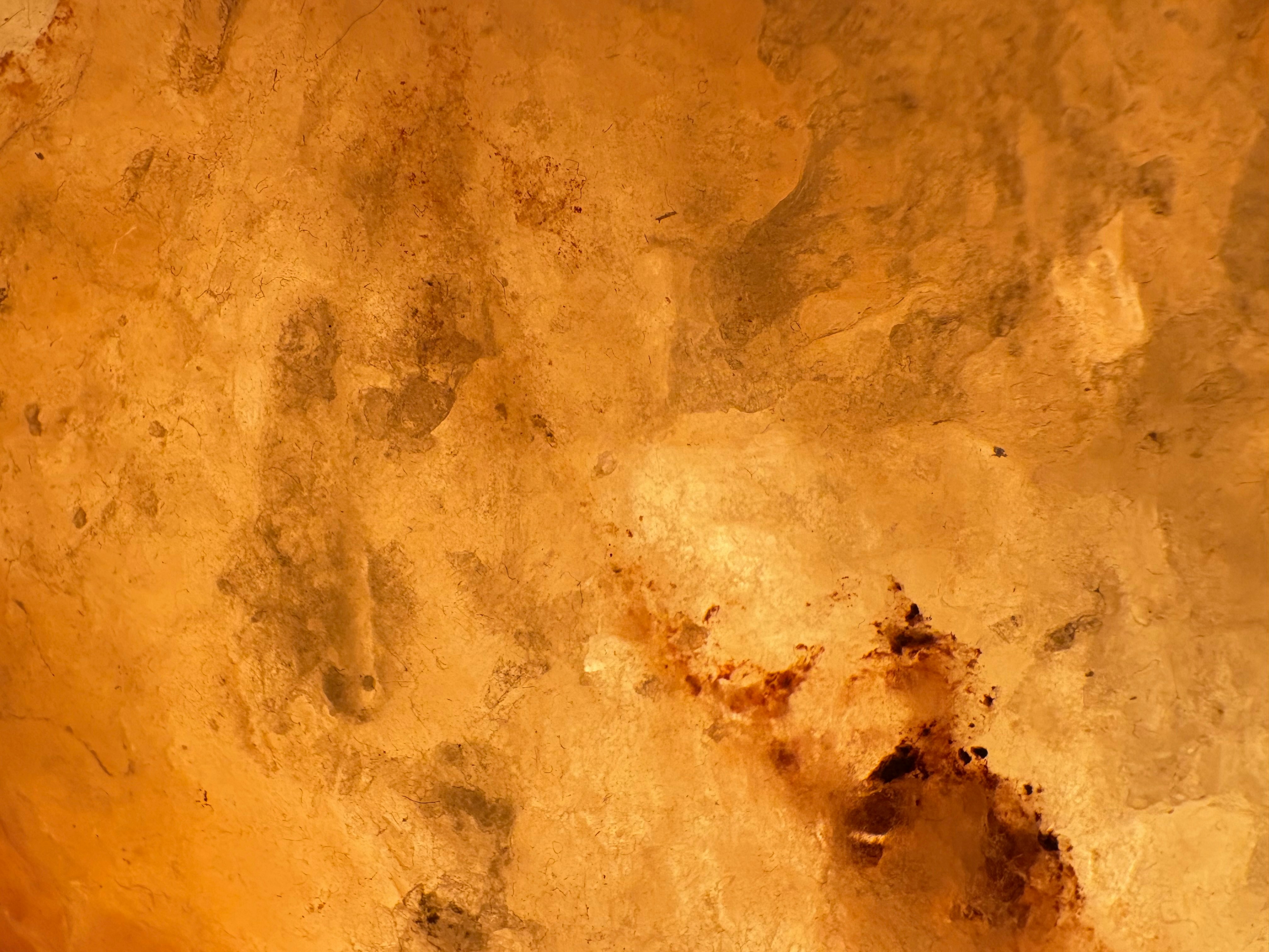 Photo by tashakostyuk