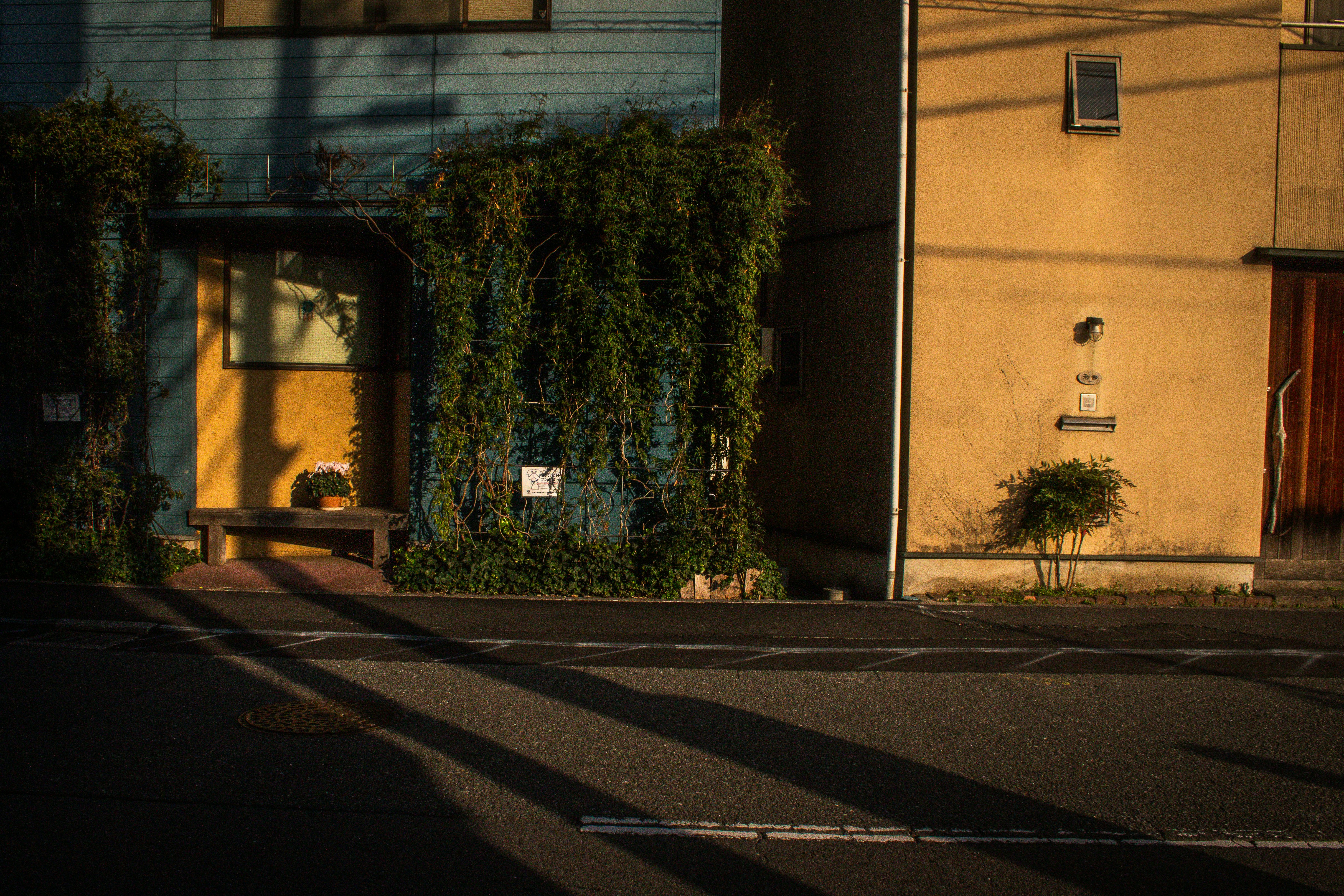 Photo by shimon_aoki