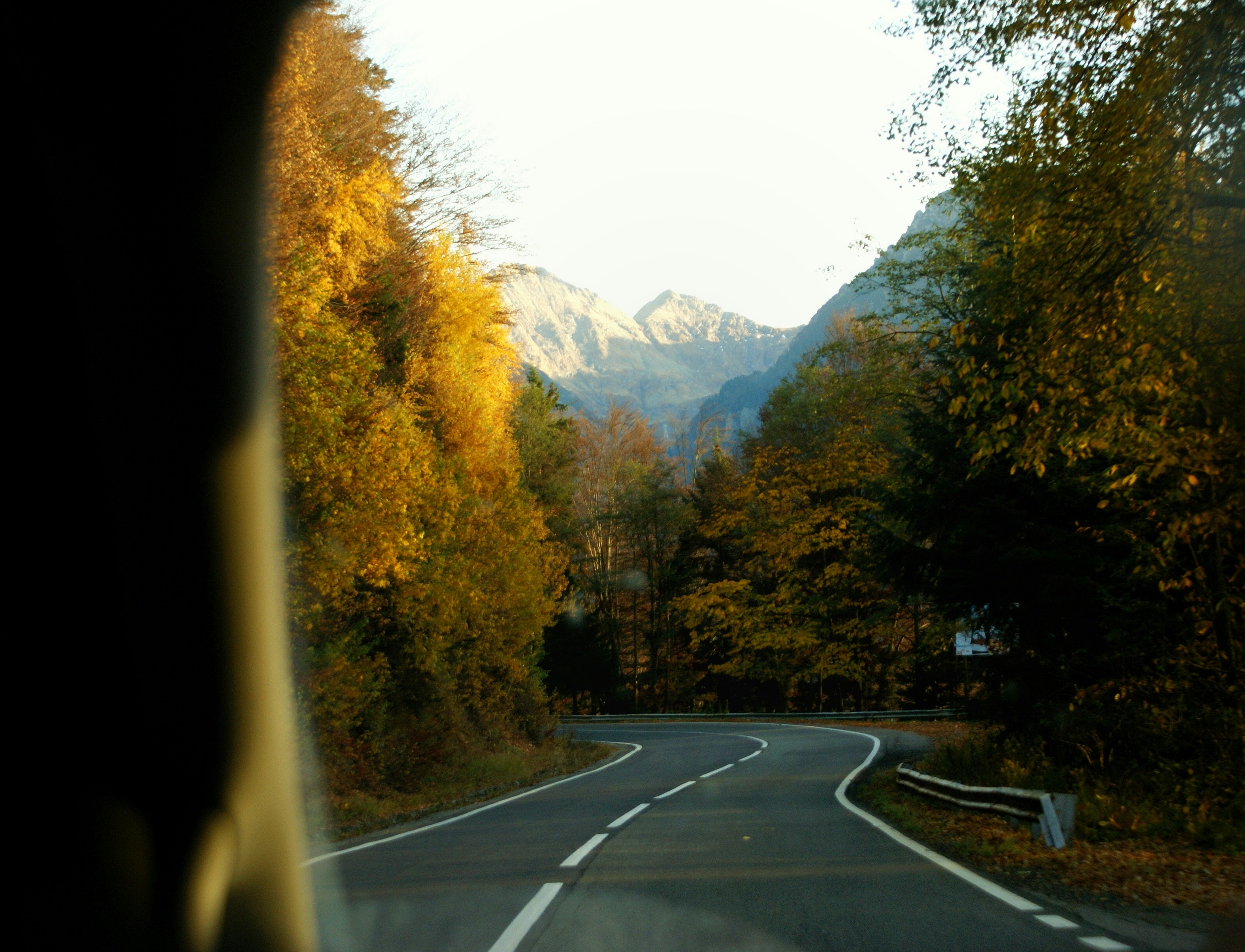 A winding road leads towards majestic mountains.