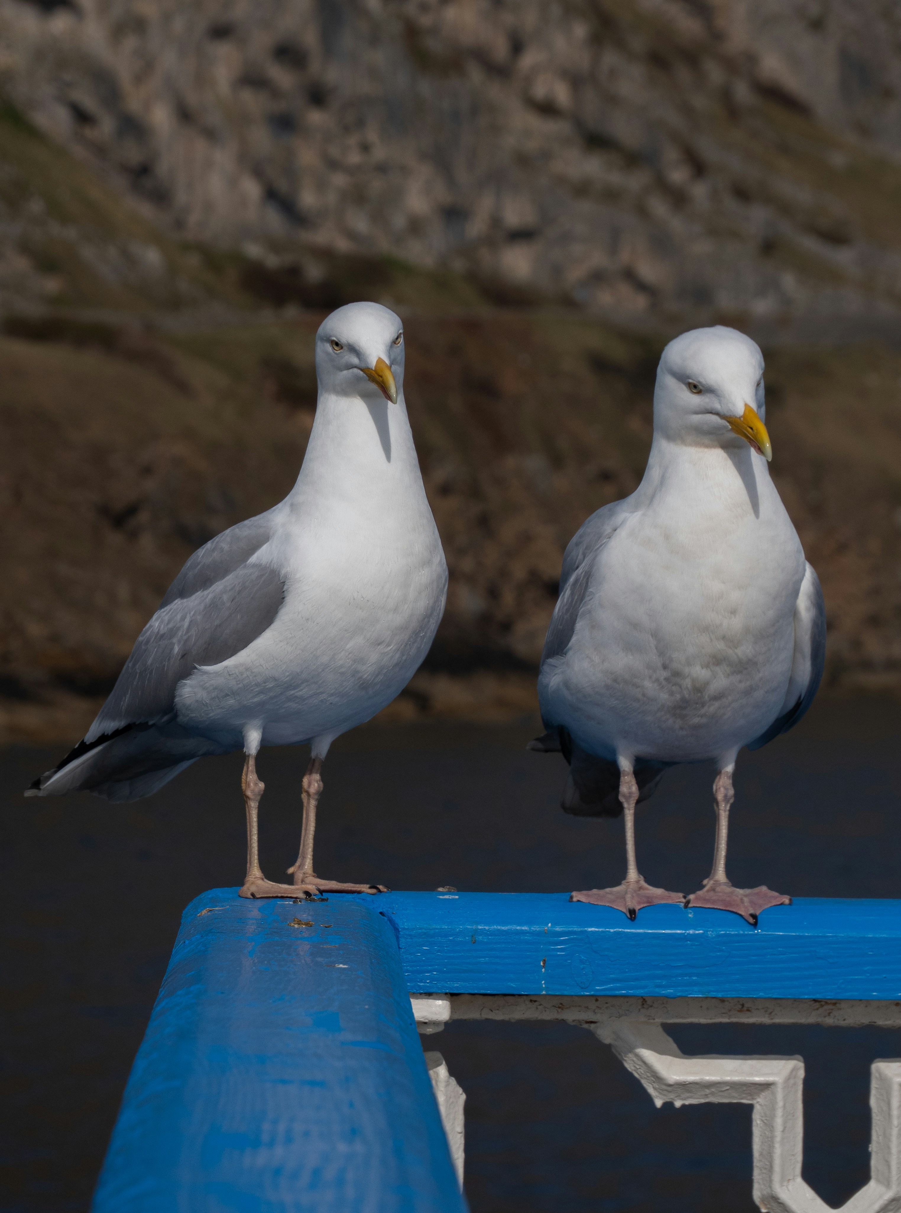 Photo by keal_the_camera_guy1