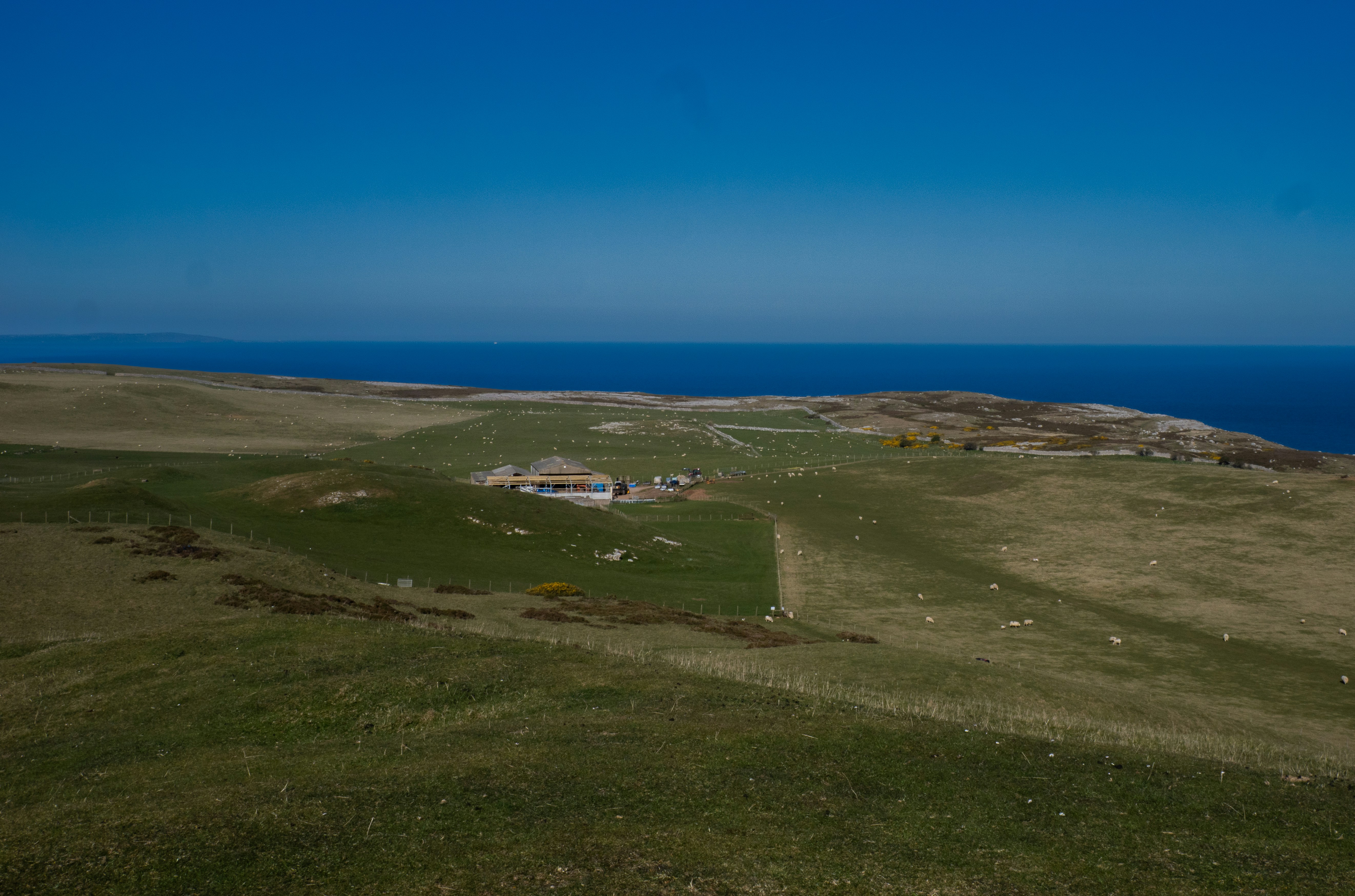 Photo by keal_the_camera_guy1