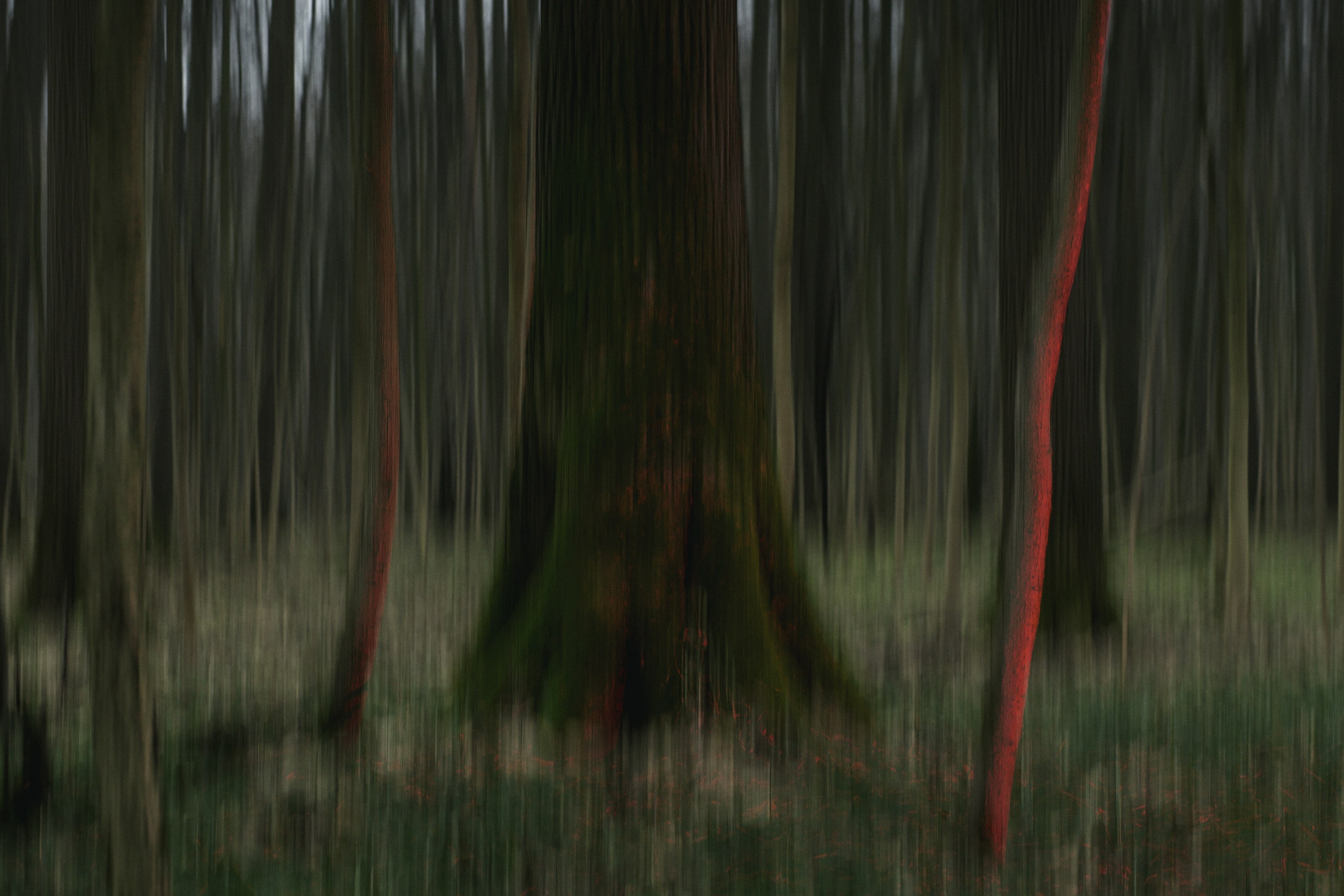 Trees with a blurred effect and red lines.