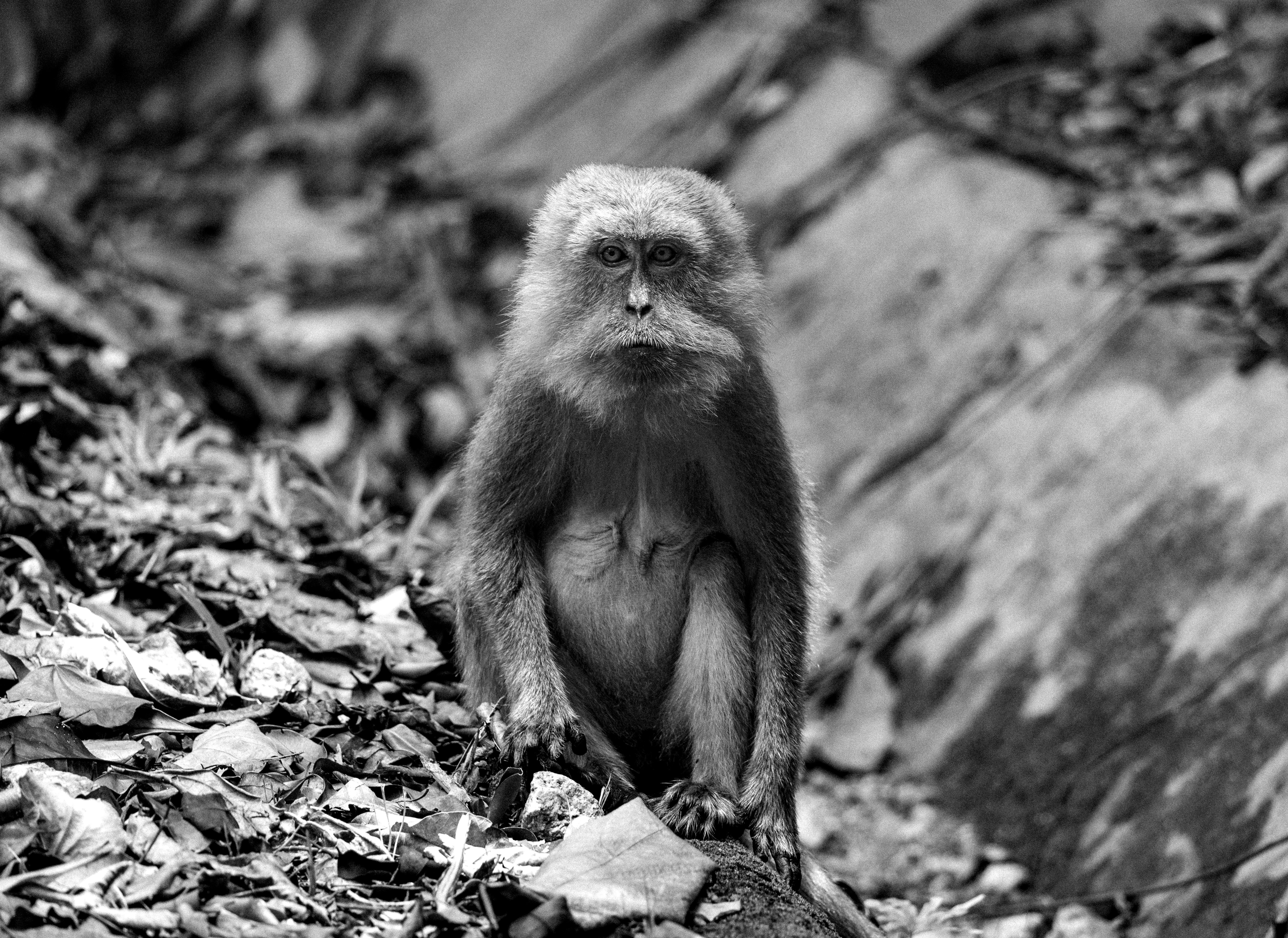 Photo by marekpiwnicki