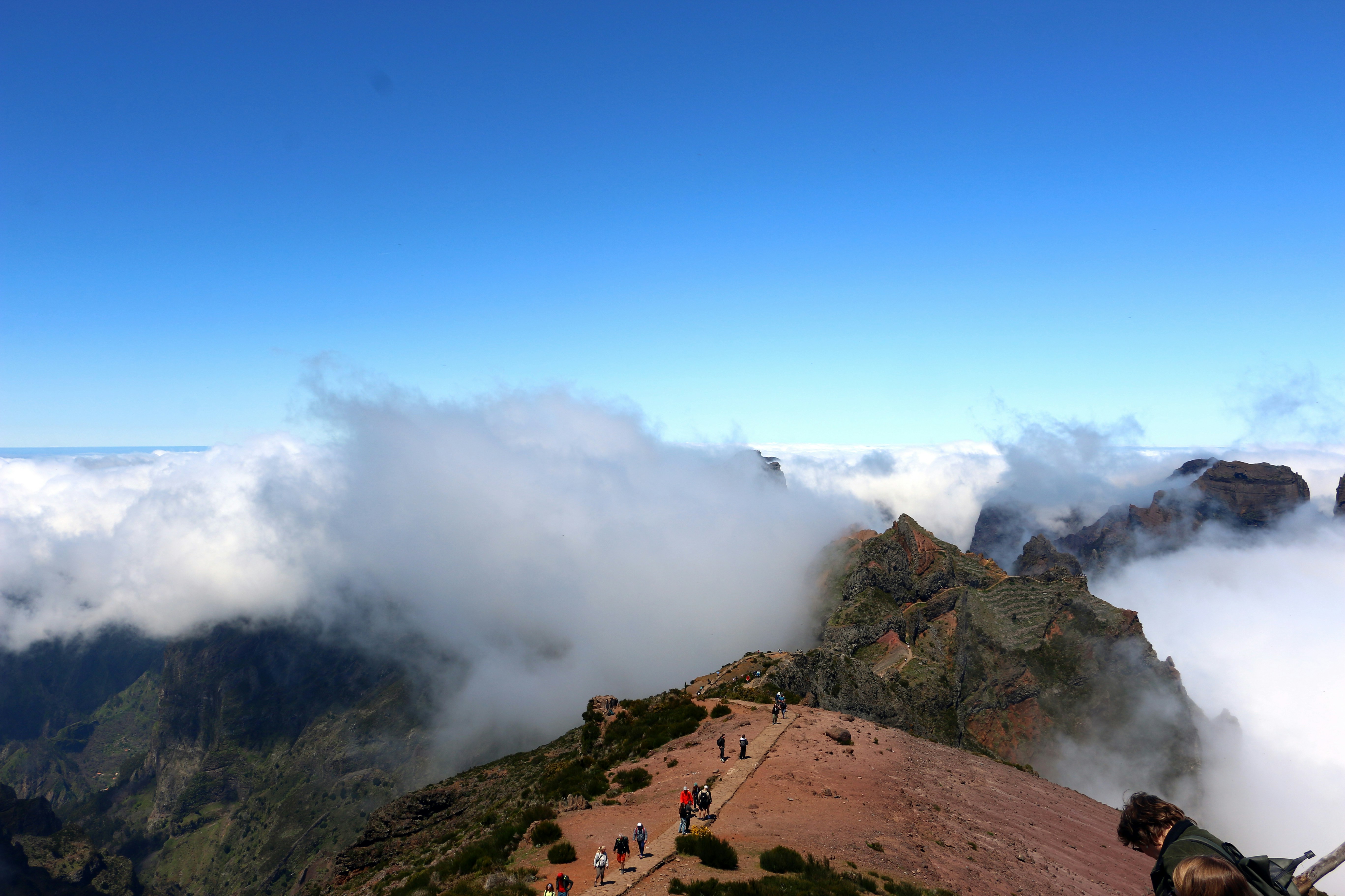 Photo by serranonline