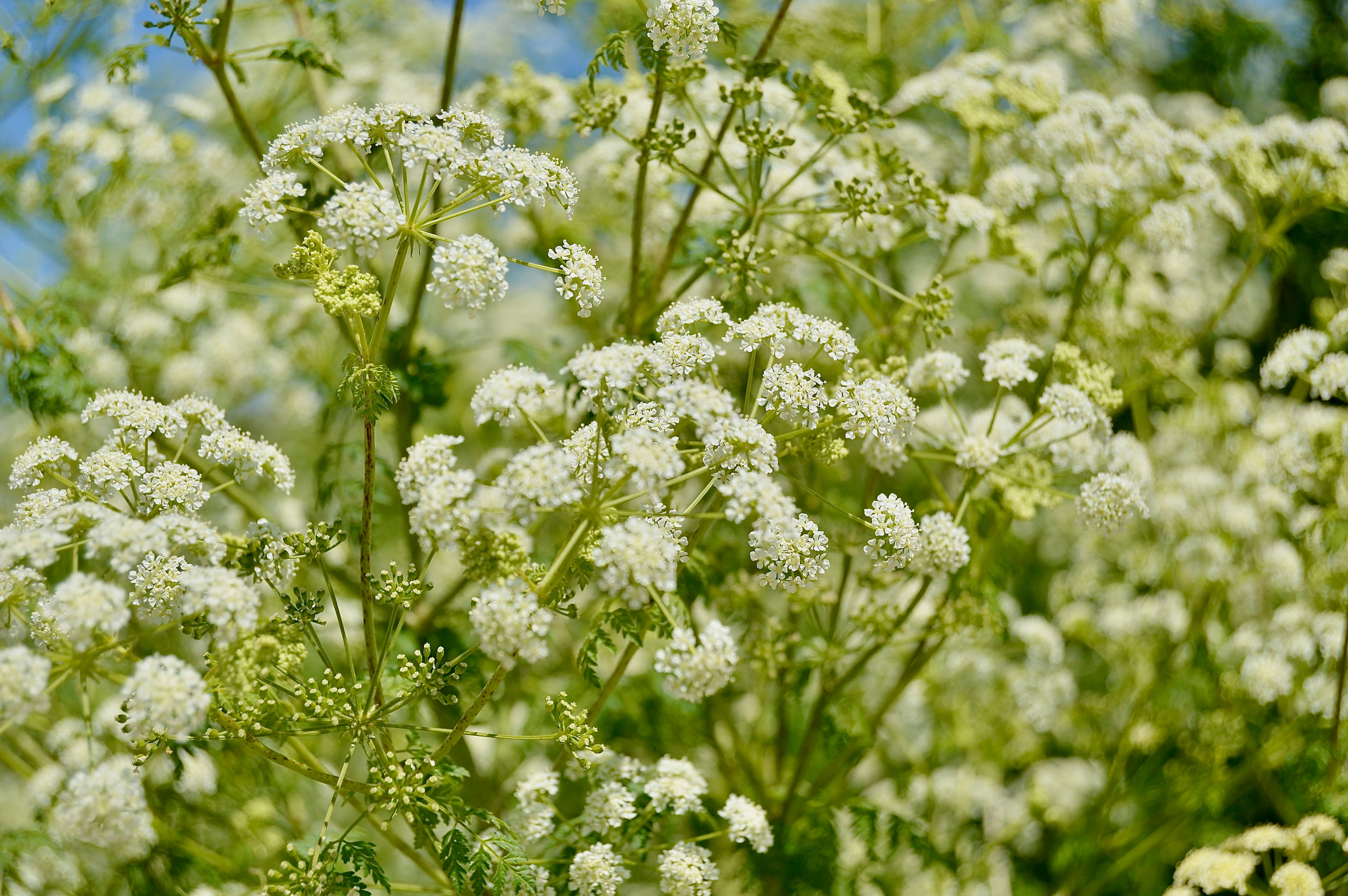 Photo by antoniozarza