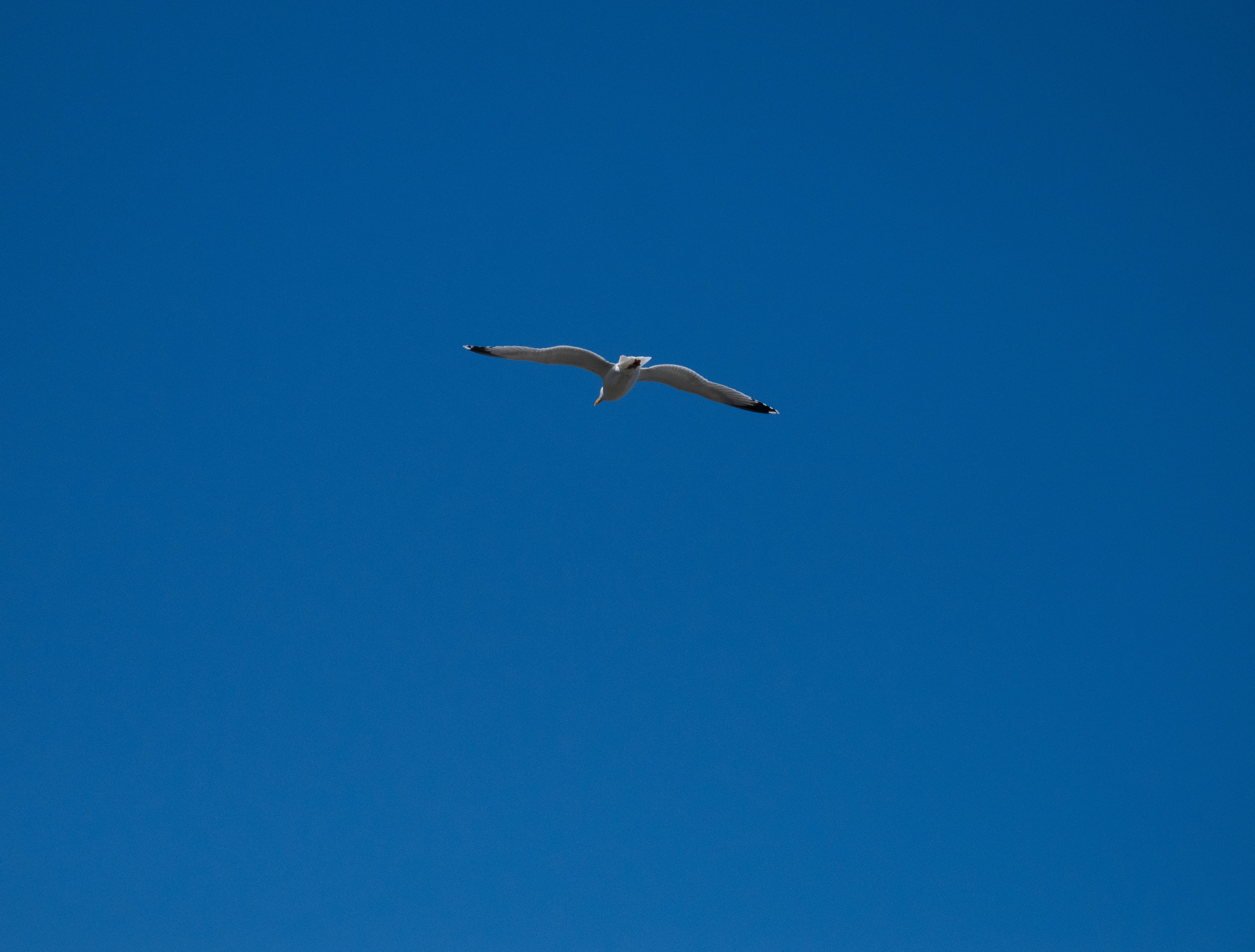 Photo by keal_the_camera_guy1