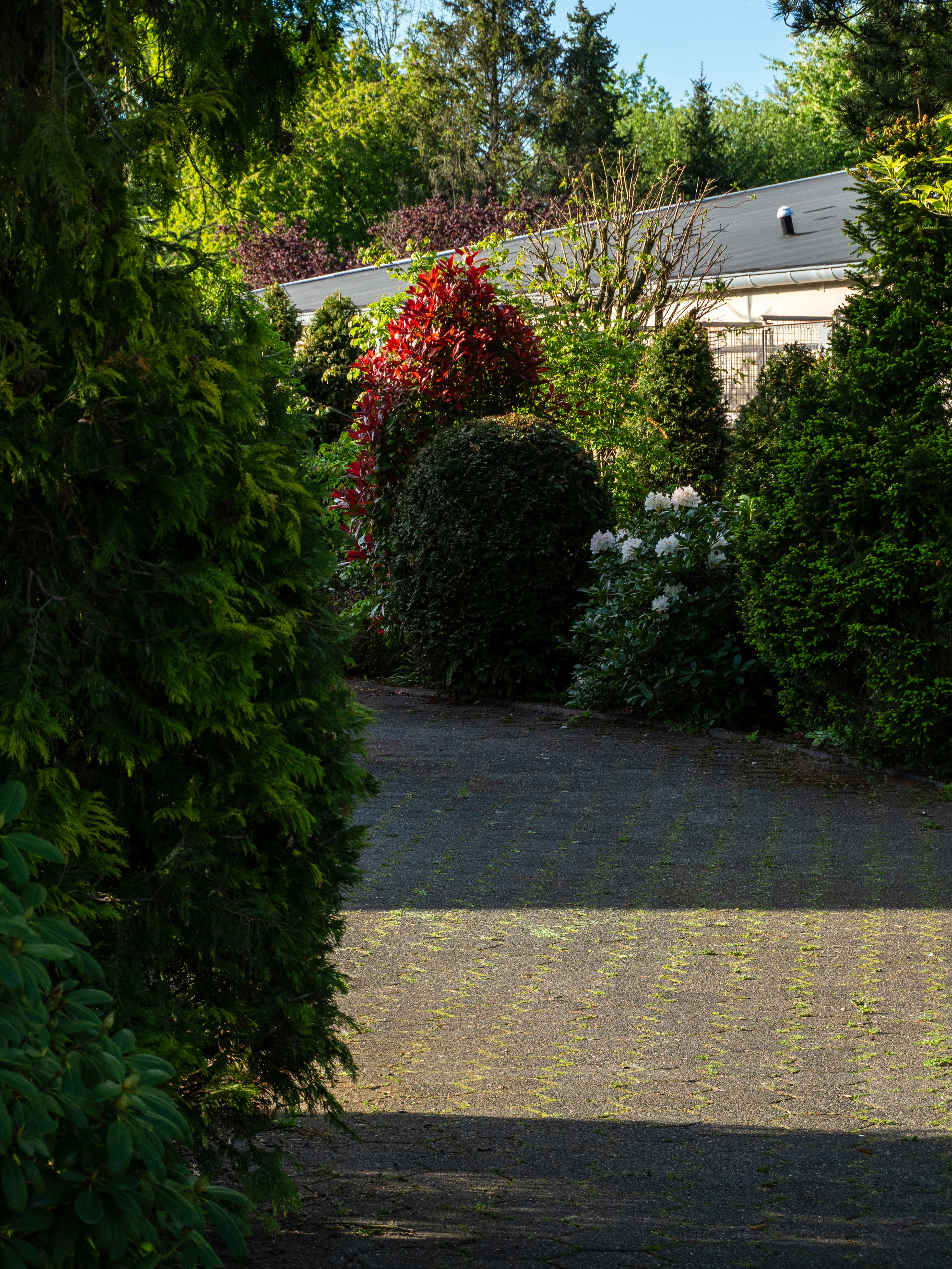 Golden East Garden East Brunswick Nj Menu