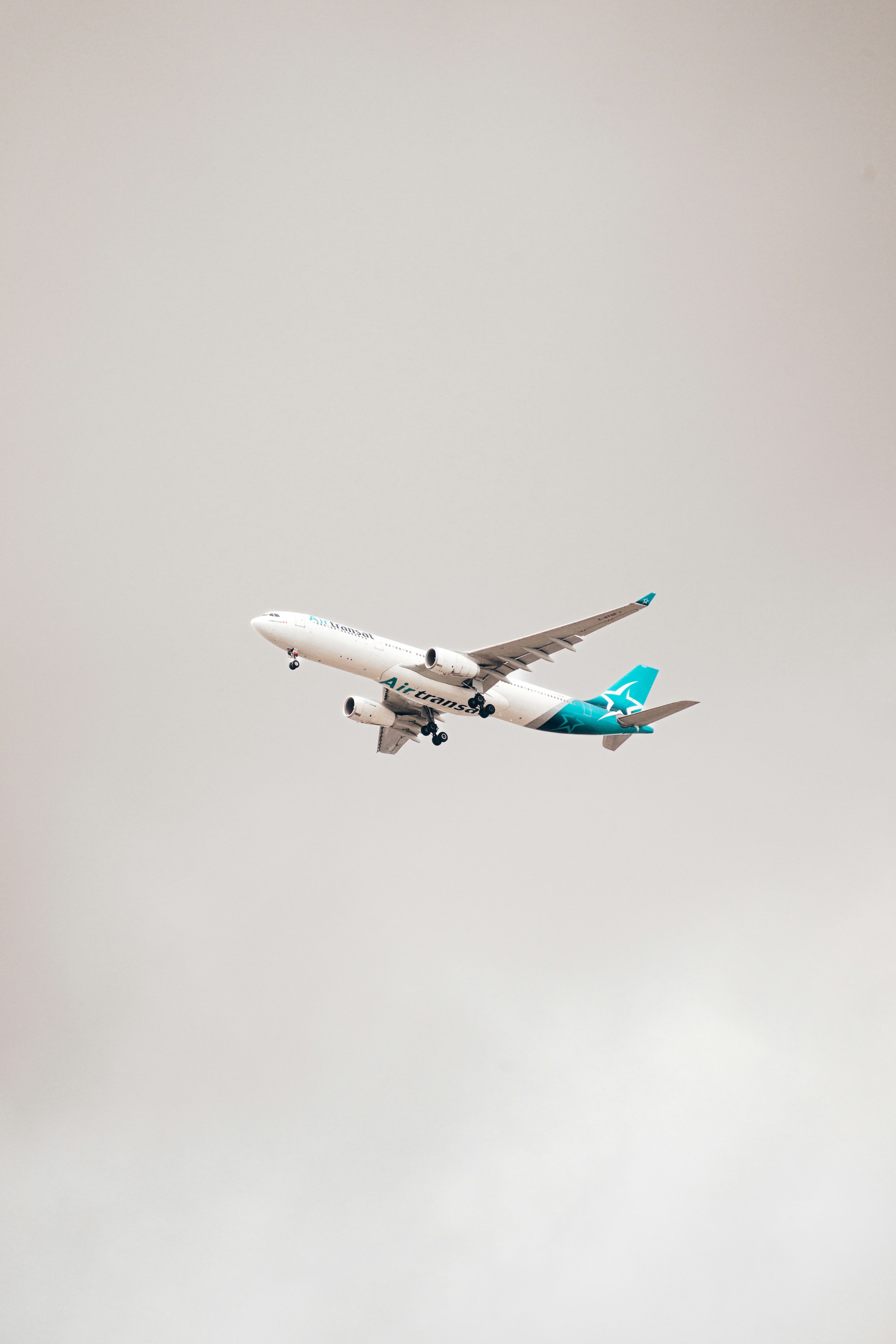 Green Spaces and Seasonal Magic