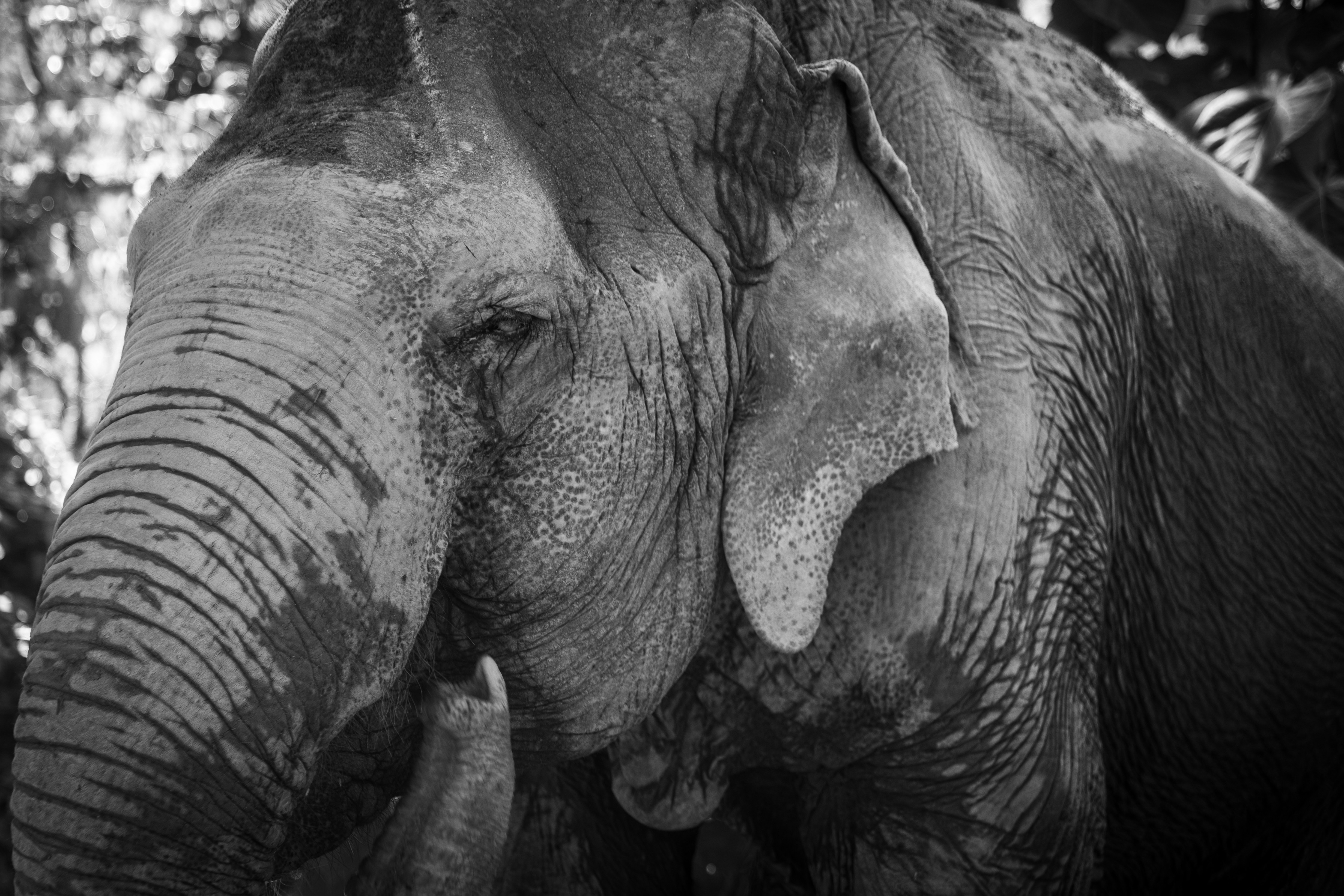 Photo by aurel_tyson