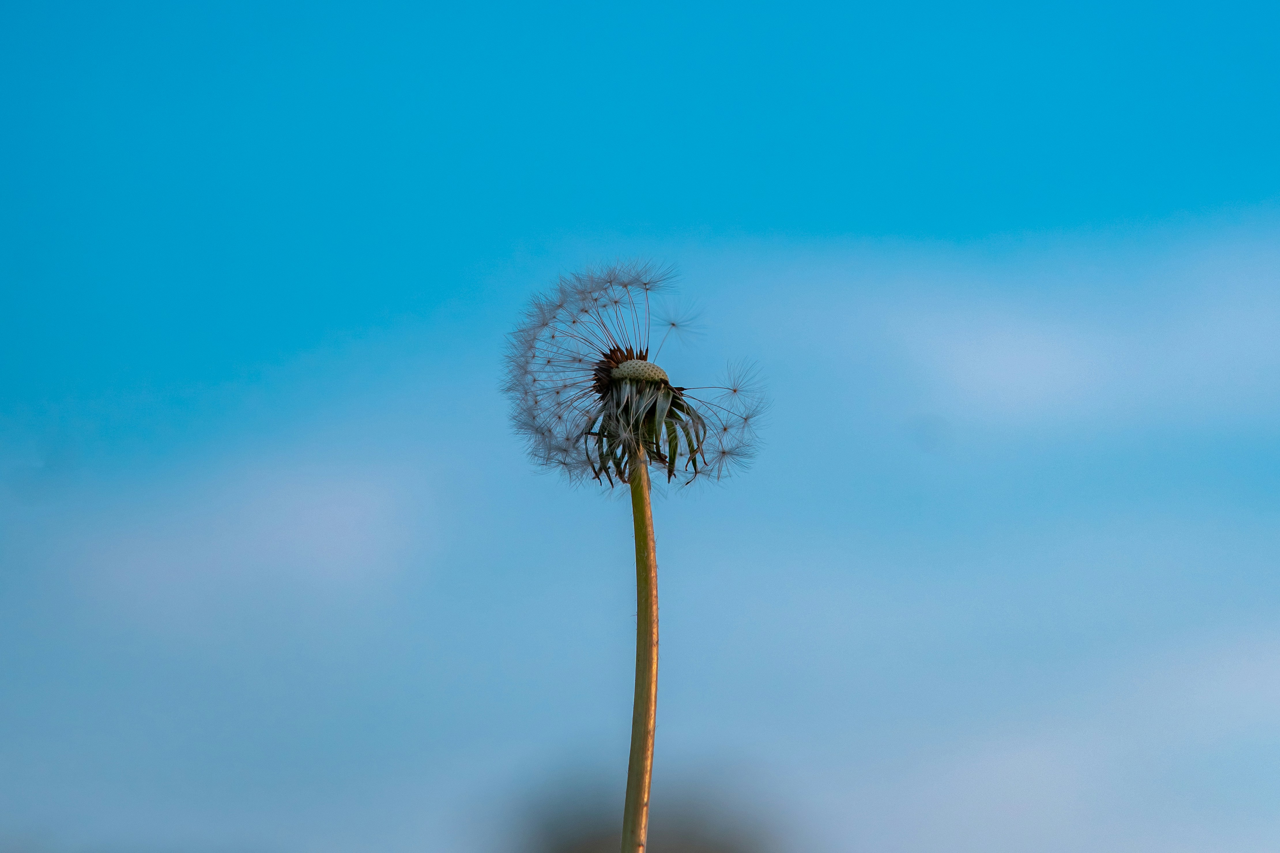 Photo by jahan_photobox