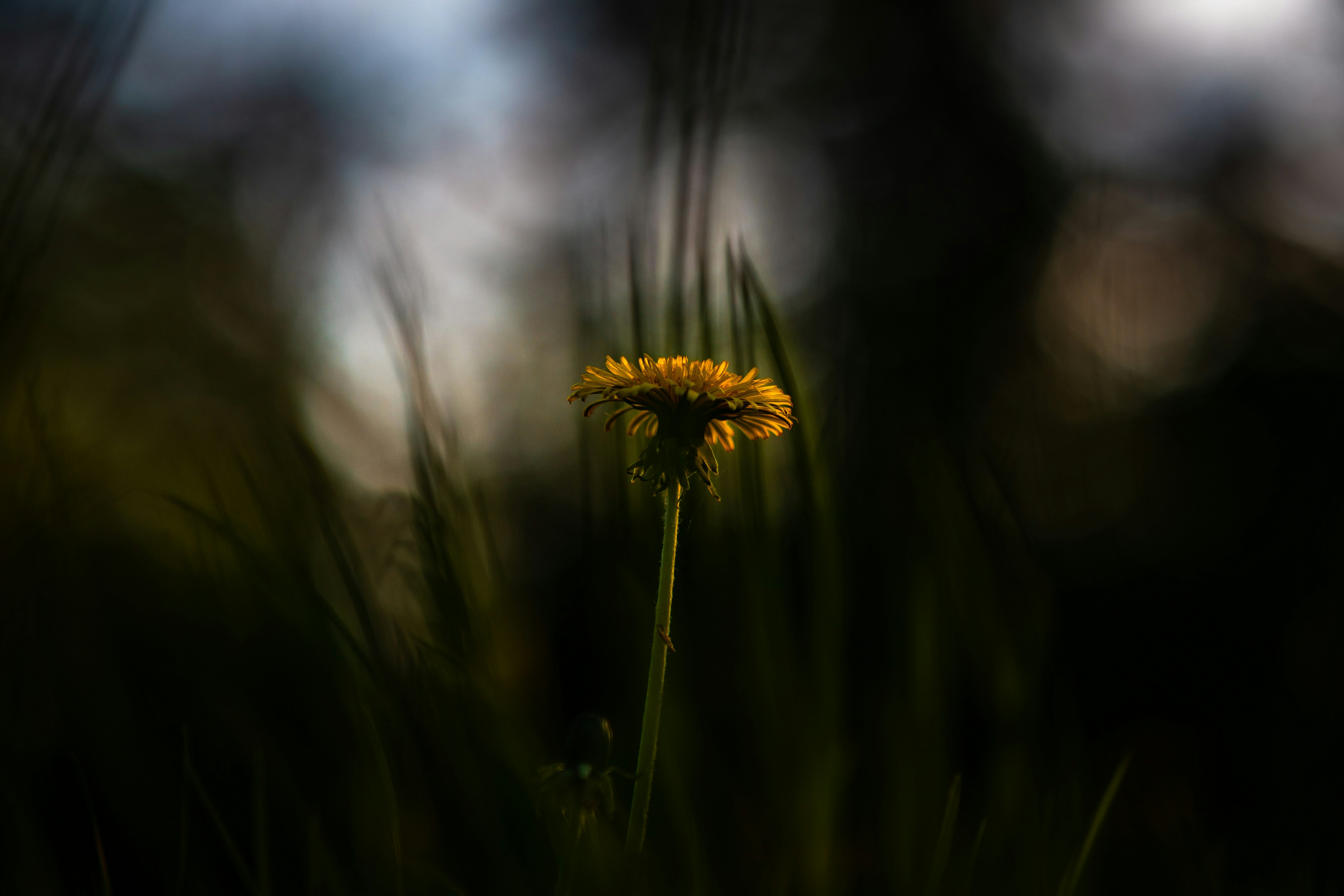 Photo by jahan_photobox