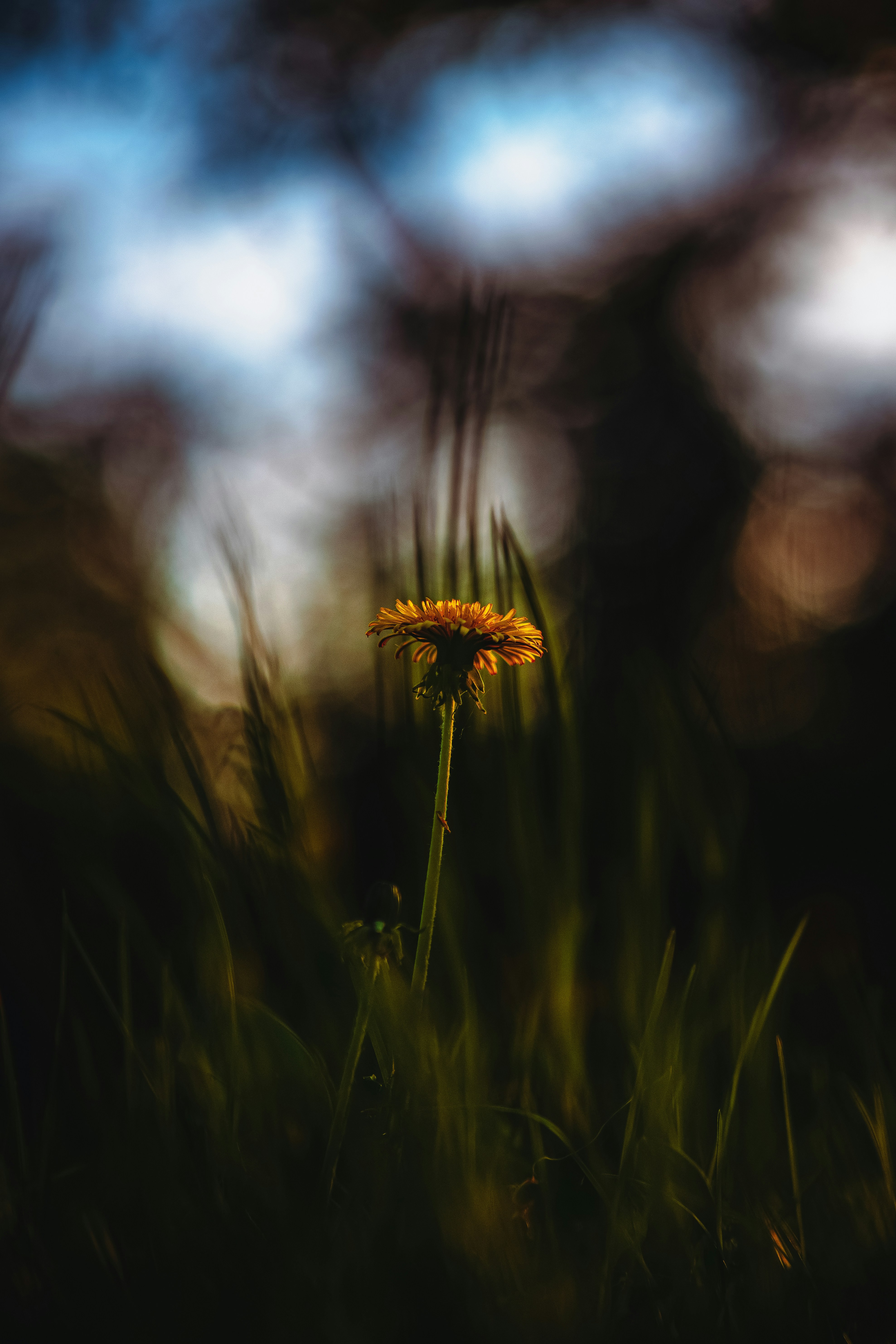 Photo by jahan_photobox