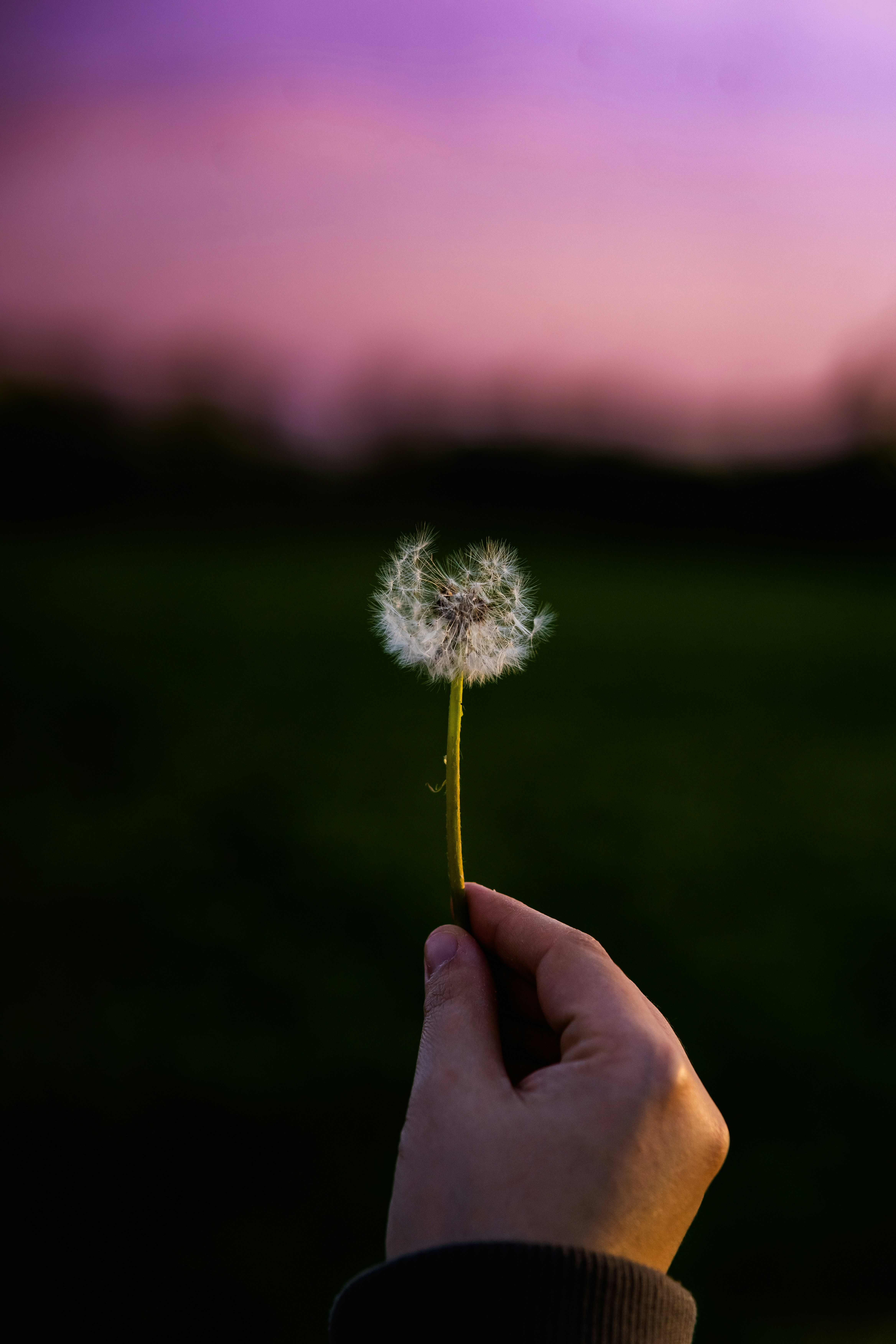 Photo by jahan_photobox