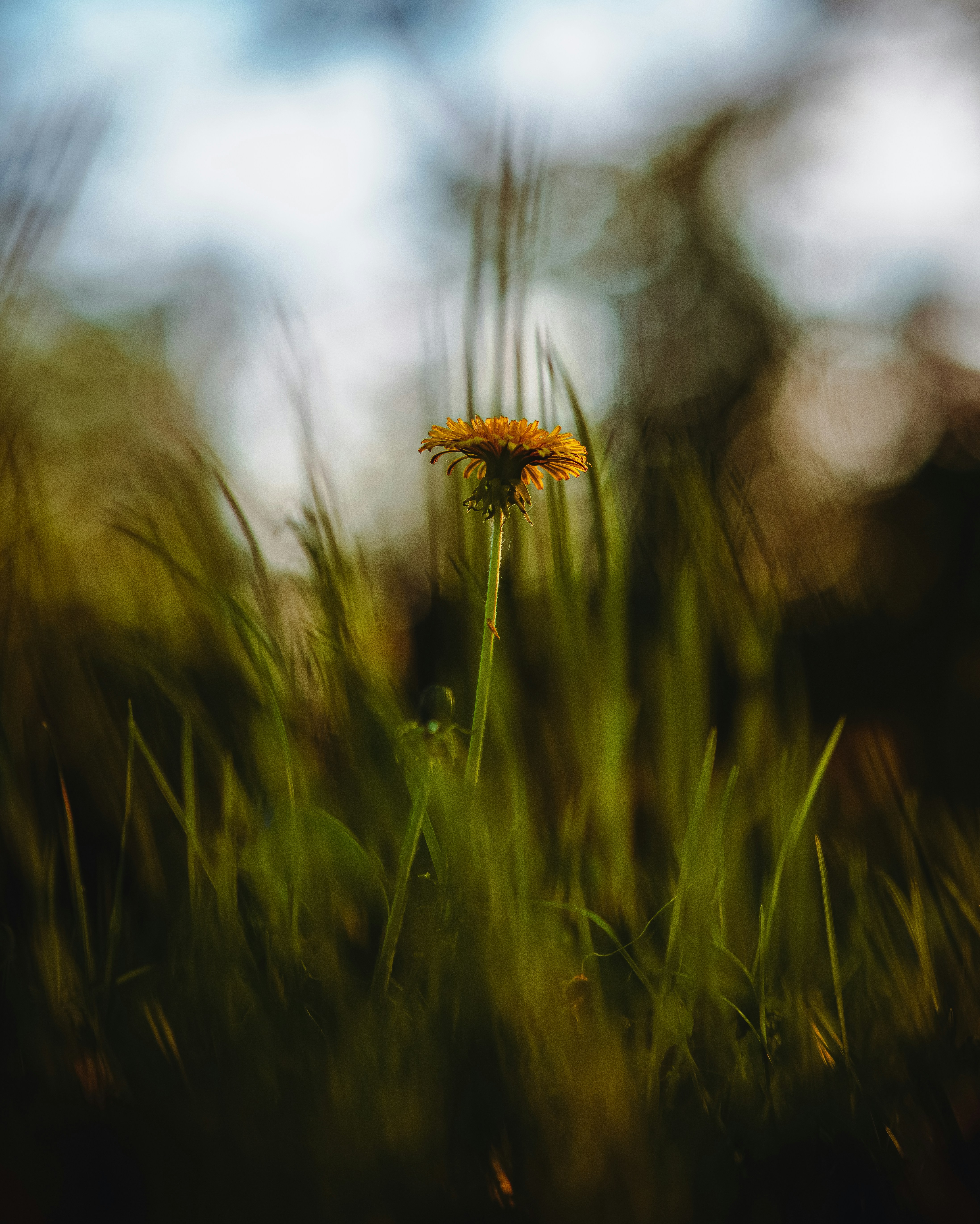 Photo by jahan_photobox