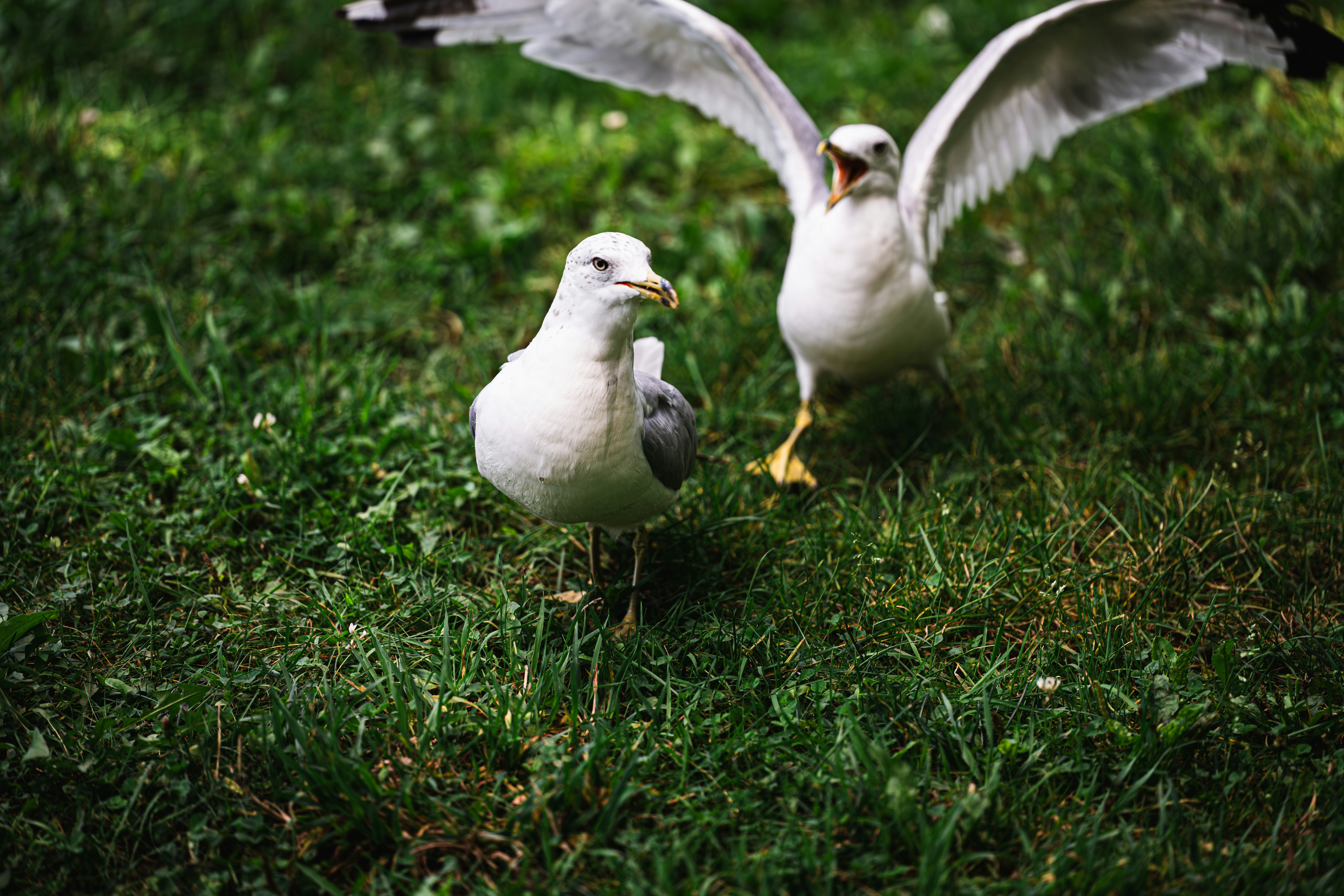 Photo by pouria_faraji