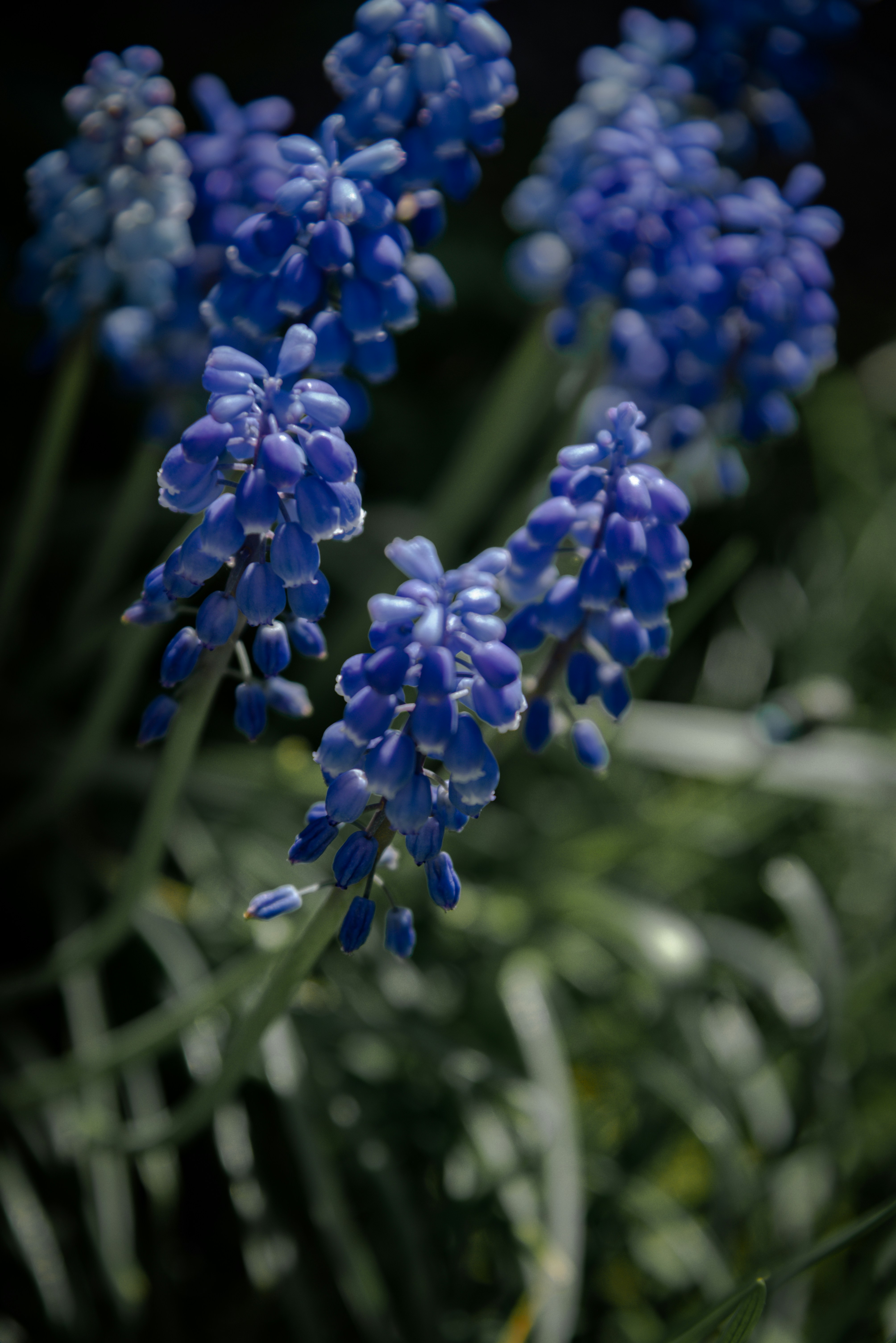 The Evolution of Sapphire Treatments in 2026: Lab-Grown, Heat, and New Stabilization Methods